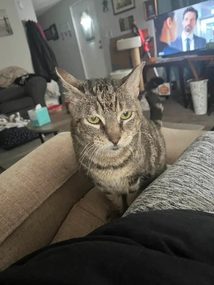 Kiki