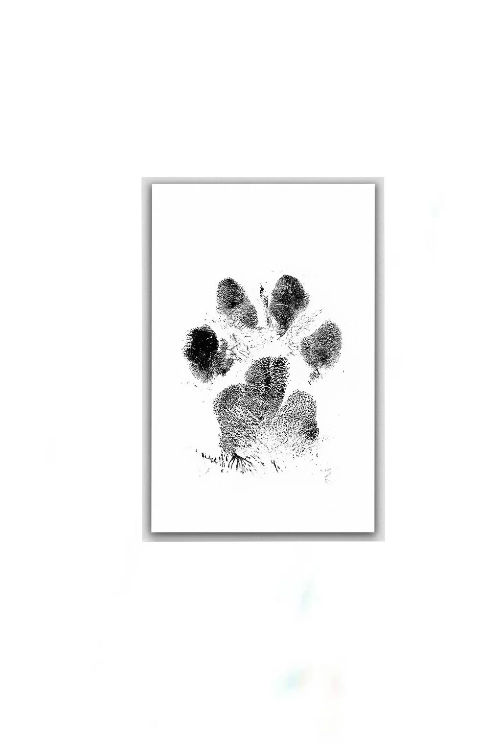 Ink Paw Print