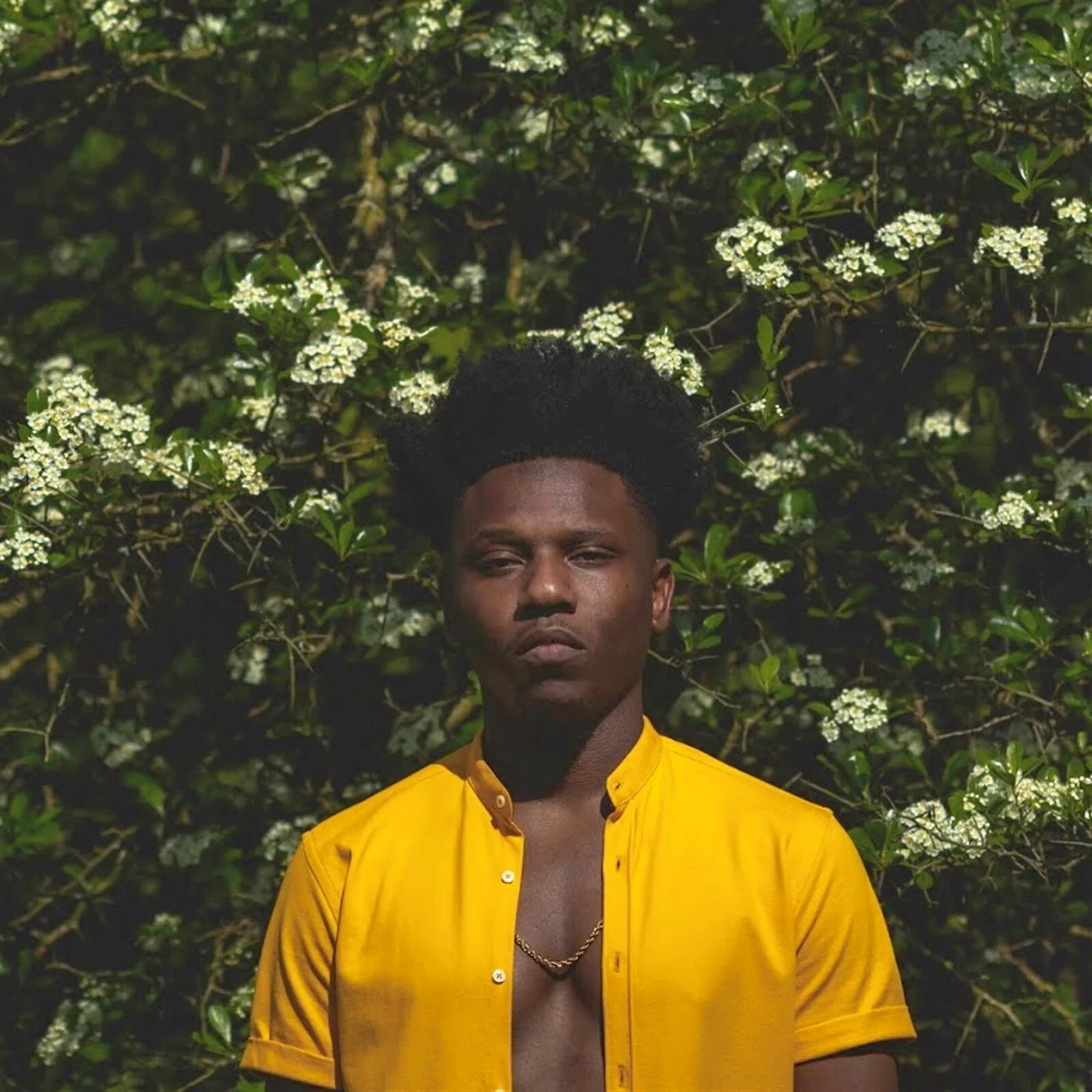 Matt Muse - "Love & Nappyness" • Mixing & Mastering • Self-Released 2019