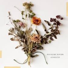 Boundary Waters - "Longlost EP" • Stereo & Atmos Mixing & Mastering • Self-Released 2025