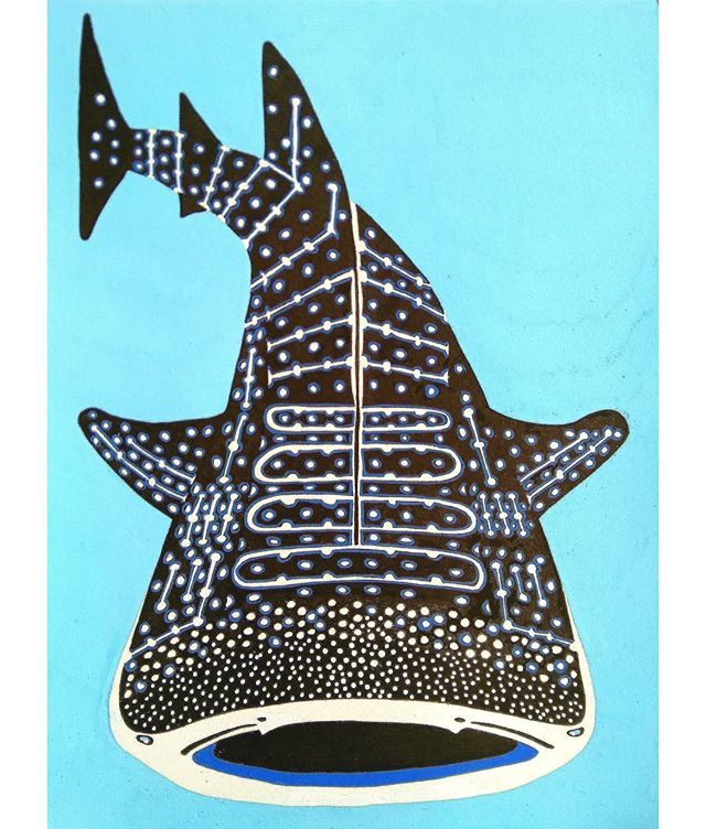 A whaleshark. I've drawn it before but now it matches my new geometric sea animals. I think it is a magical creature and I hope to see it in real life some day.
.
.
.
#whaleshark #shark #sealifeillustrator #oceanlover #oceaninspired #imadethis #drawi
