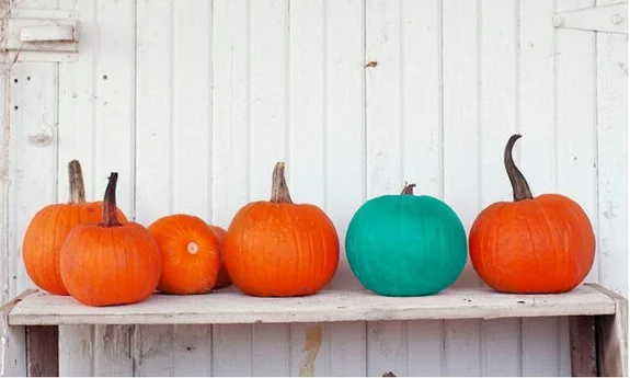 How to Safely Trick or Treat When Your Child Has Food Allergies