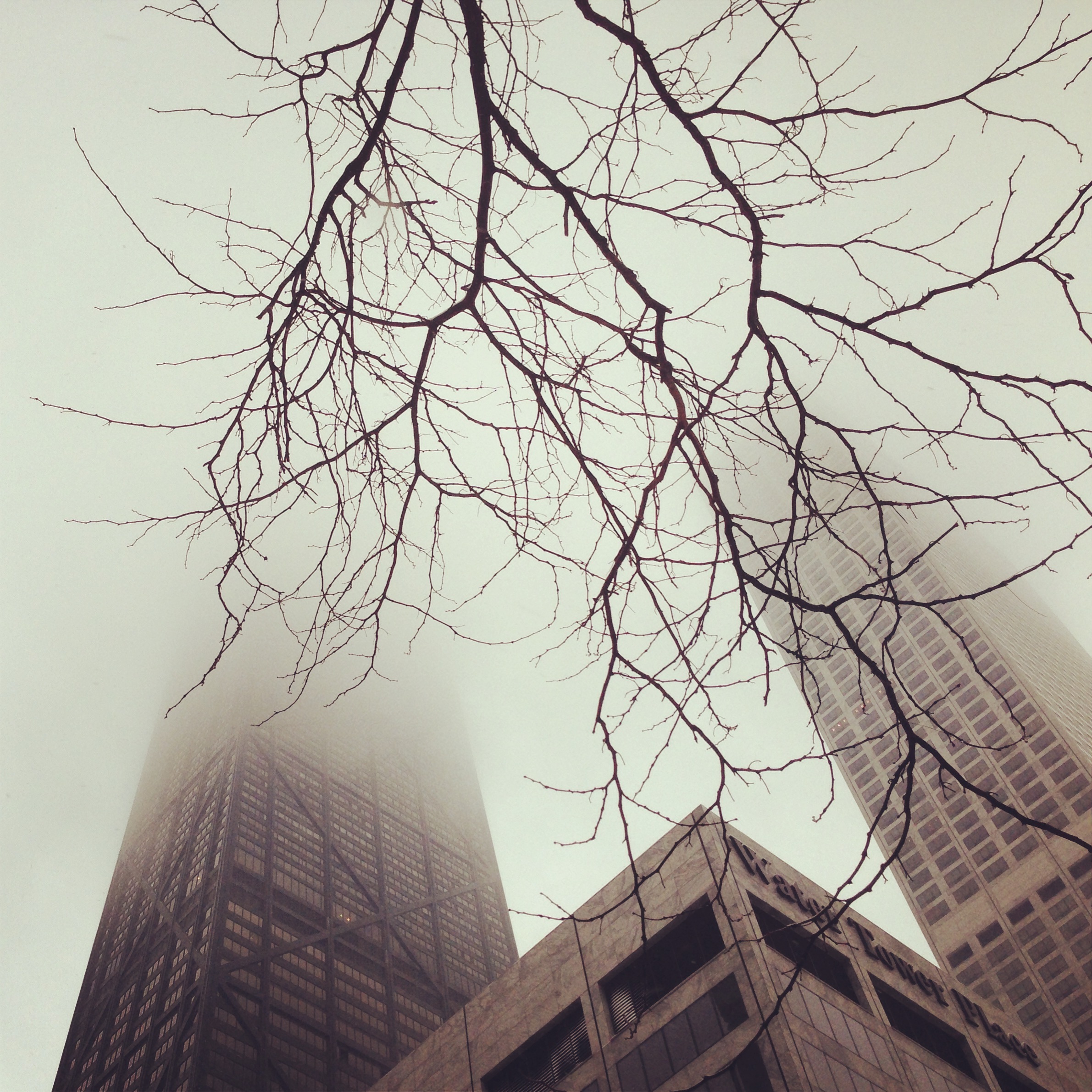 5 Tips for Beating the Wintertime Blues