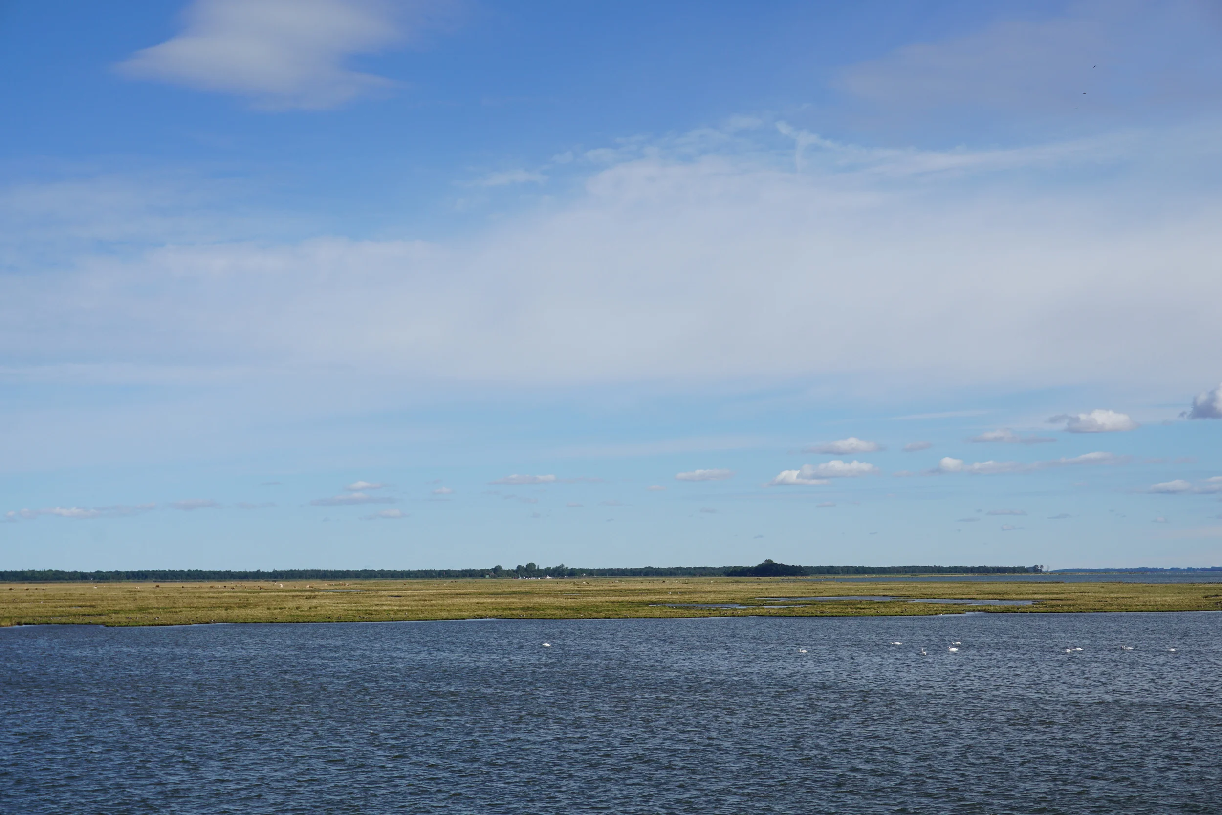 DSC00978.JPG