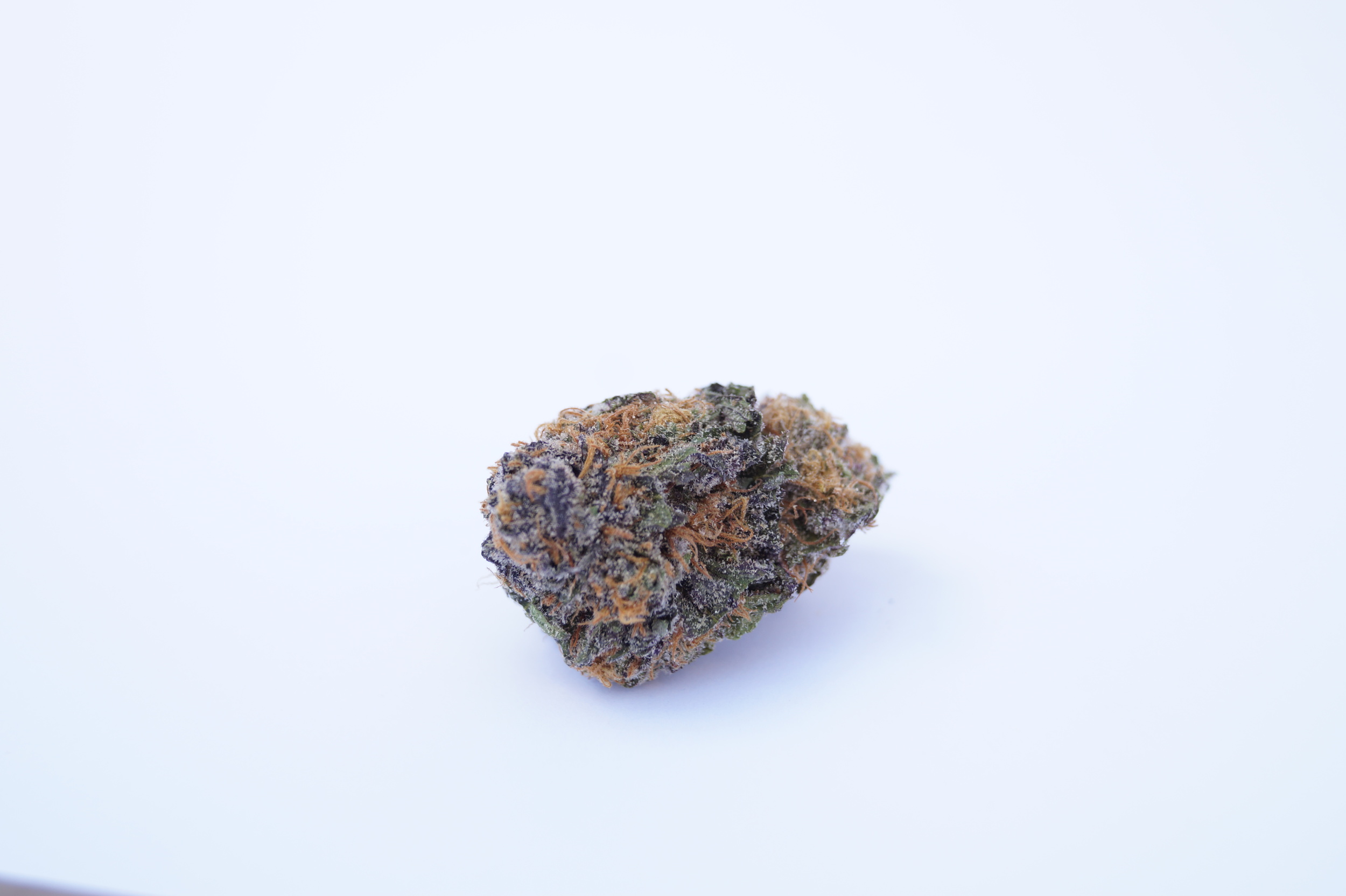 Dense purple Cannabis nug on white background Purple Kush Strin