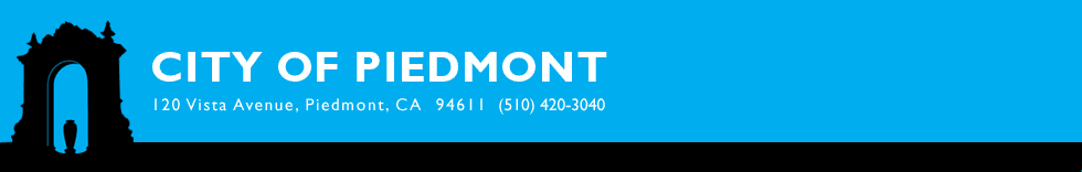 Thingamakids! in Piedmont