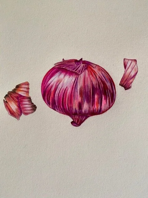 Camp510 Start Camp | Week 3 :: Scientific Illustration, Sewing, Drumming