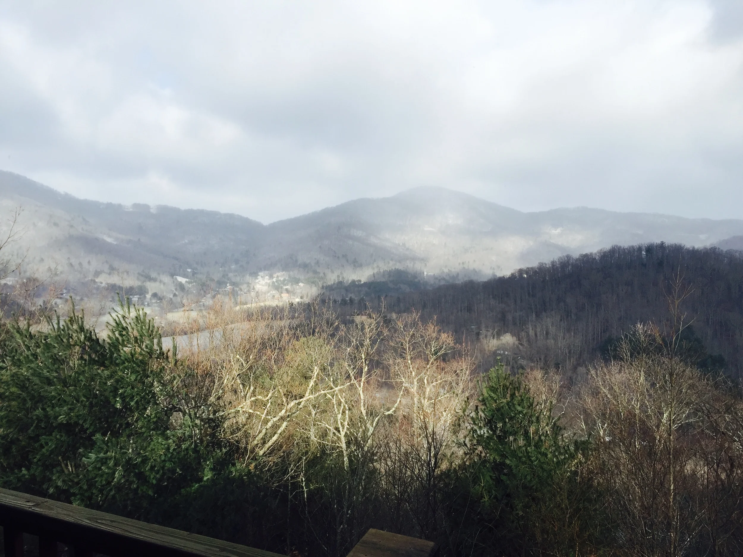 Our new morning view