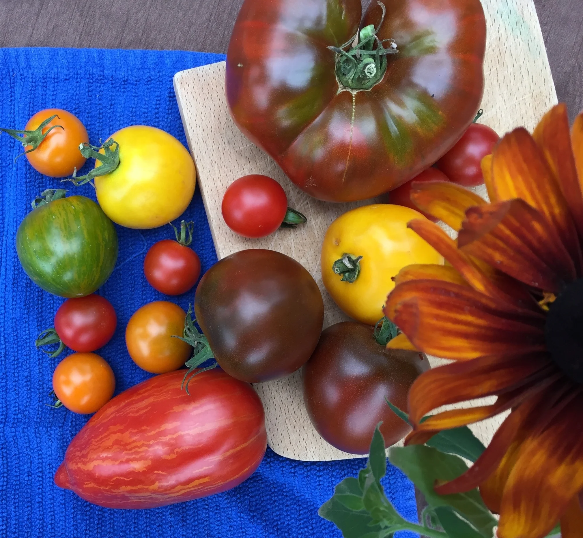 IMG_4684.jpg