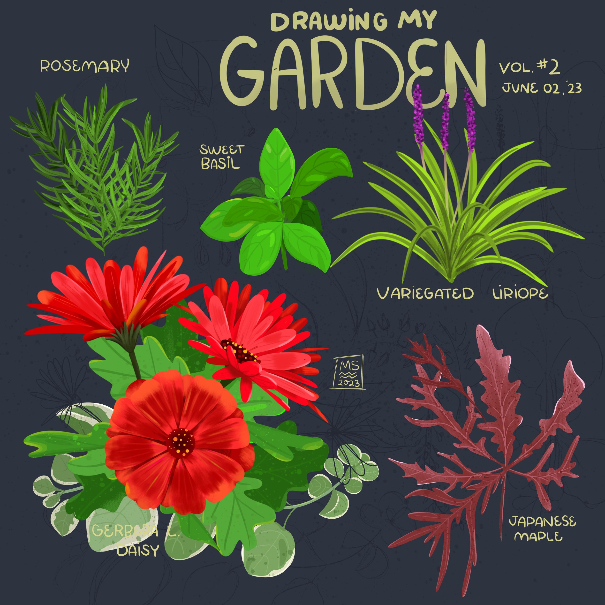 Garden_Drawing_V1.jpg