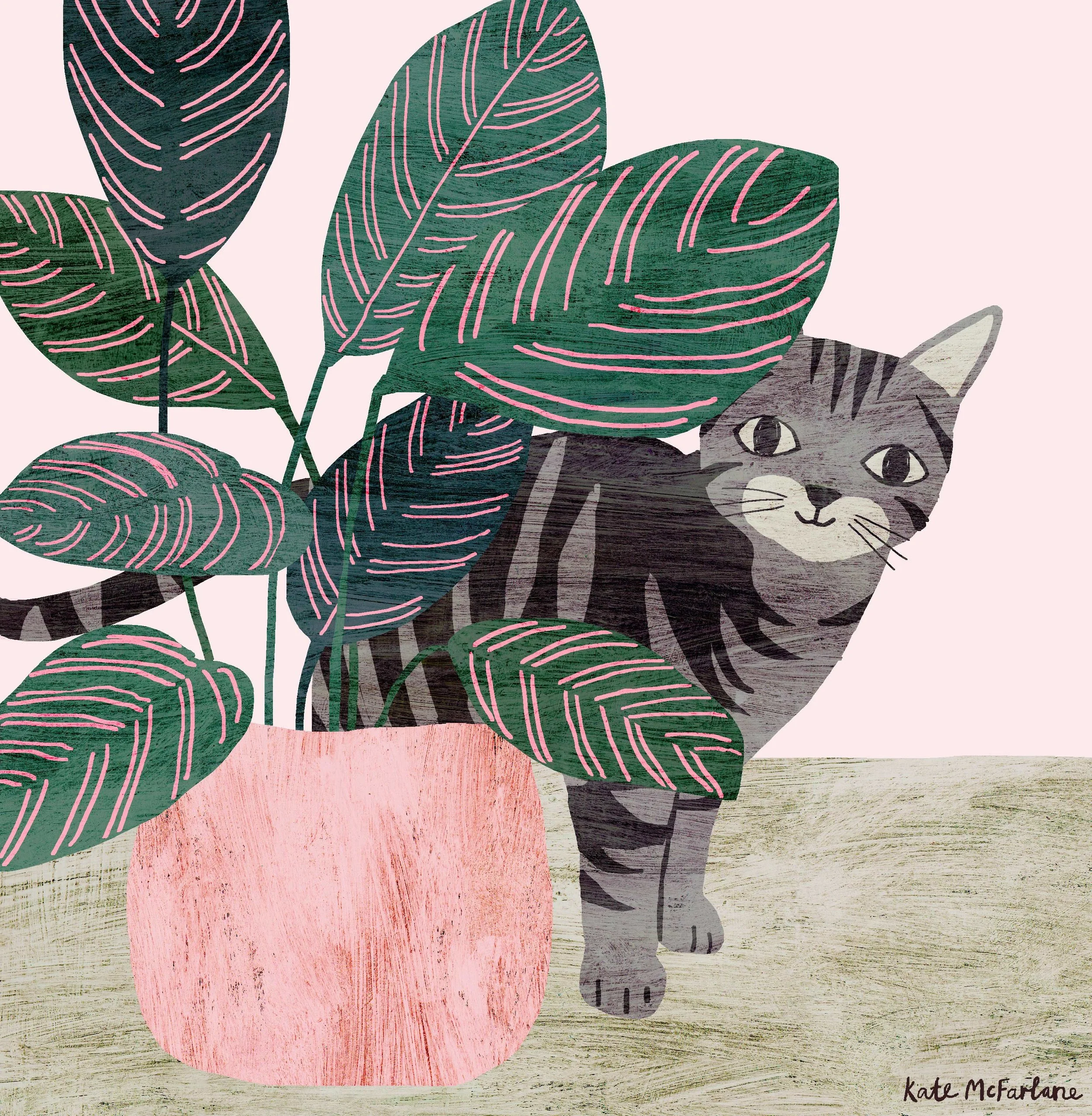 CATS AND PLANTS ILLUSTRATION
