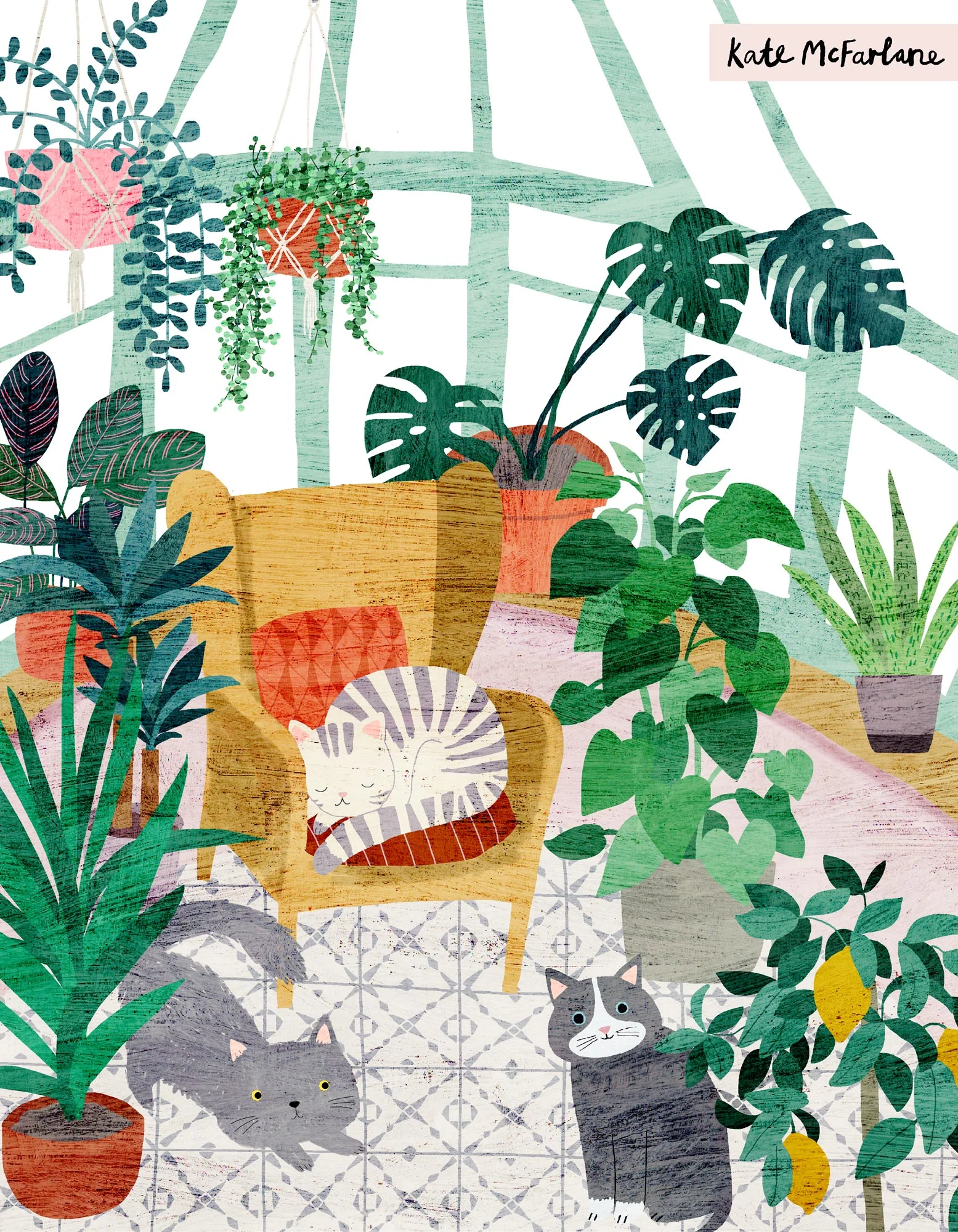 CATS IN THE CONSERVATORY ILLUSTRATION