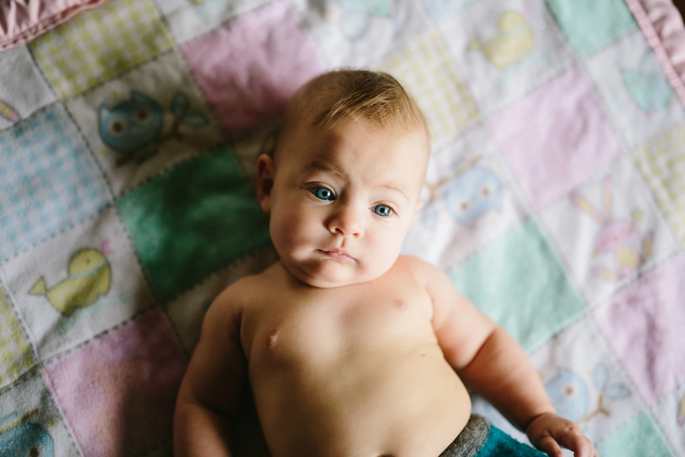 laurenpenland-8.jpg
