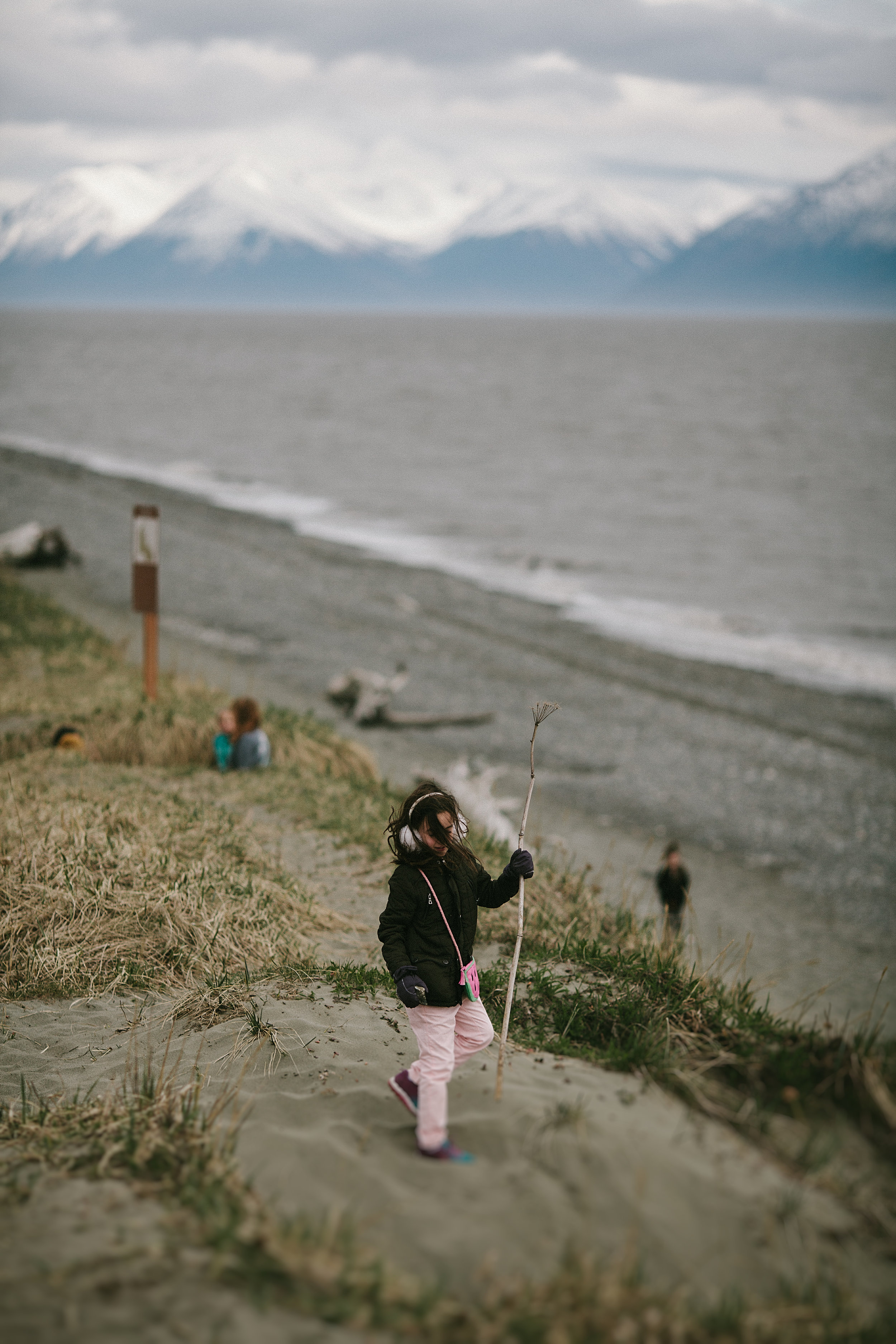 clickinwalk2017-1-28clickinwalk2017.jpg