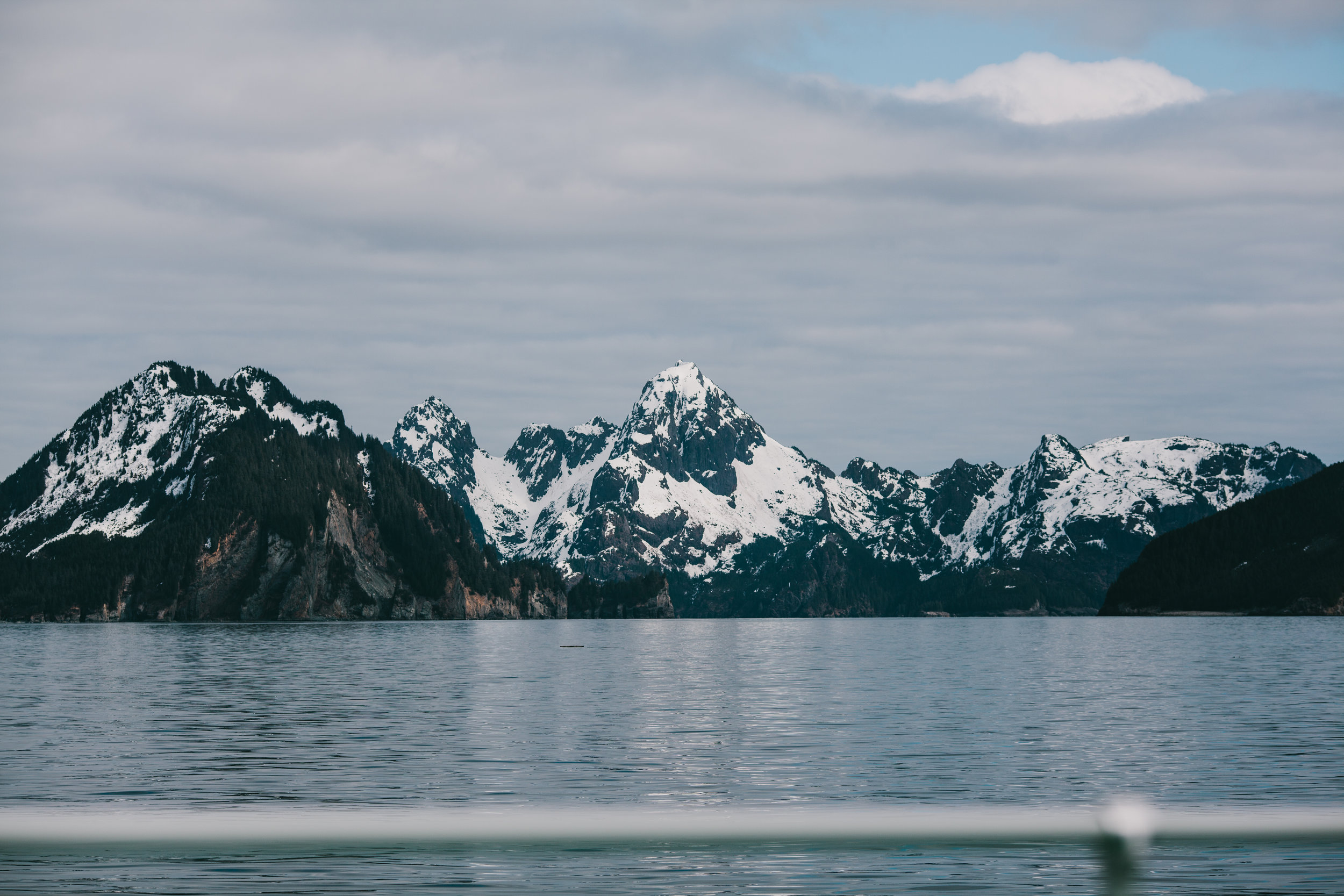 toseward-1-77.jpg