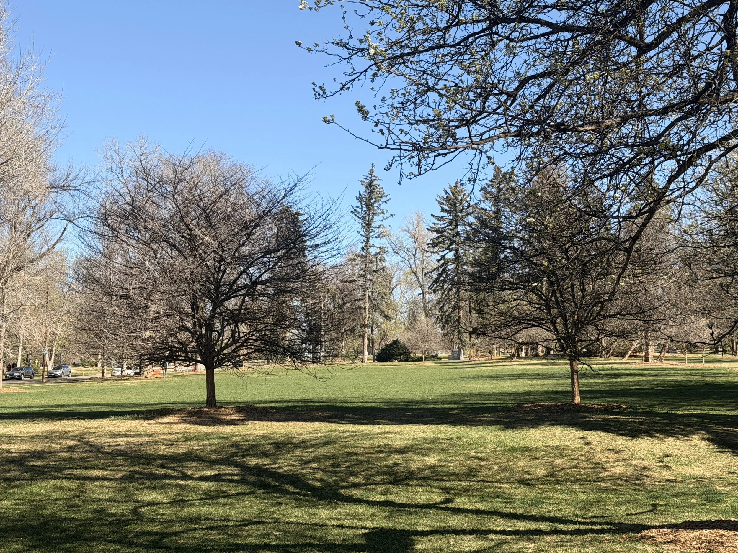 Worship in the Park