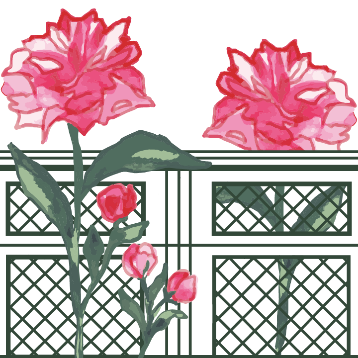 Peonies - 211600 LR-01.png