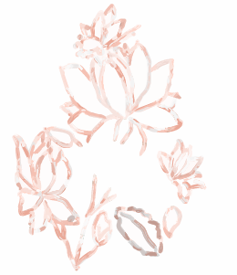 Project 1 - Sketch 1 LR-01.png