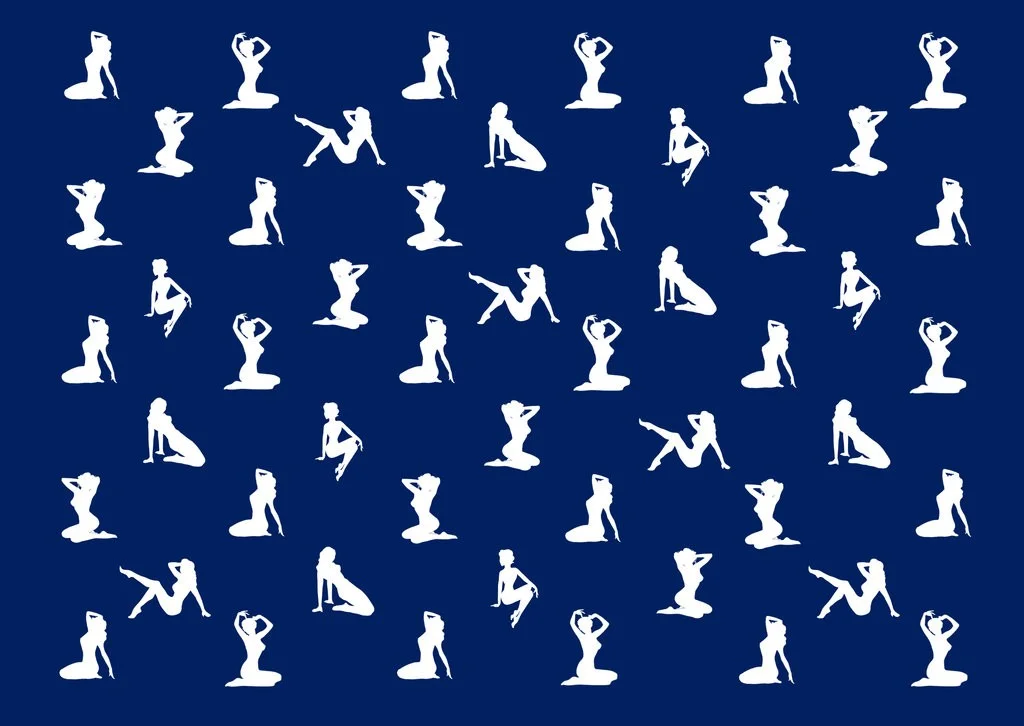 Naked Lady Politics
