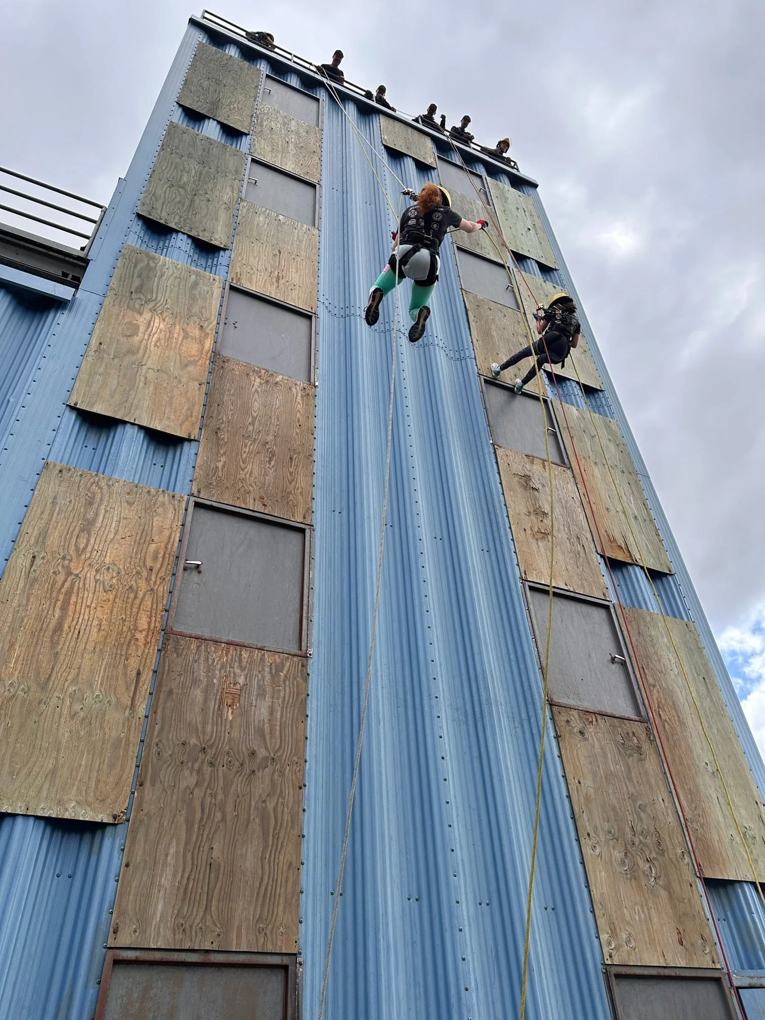 repel ground view.jpg