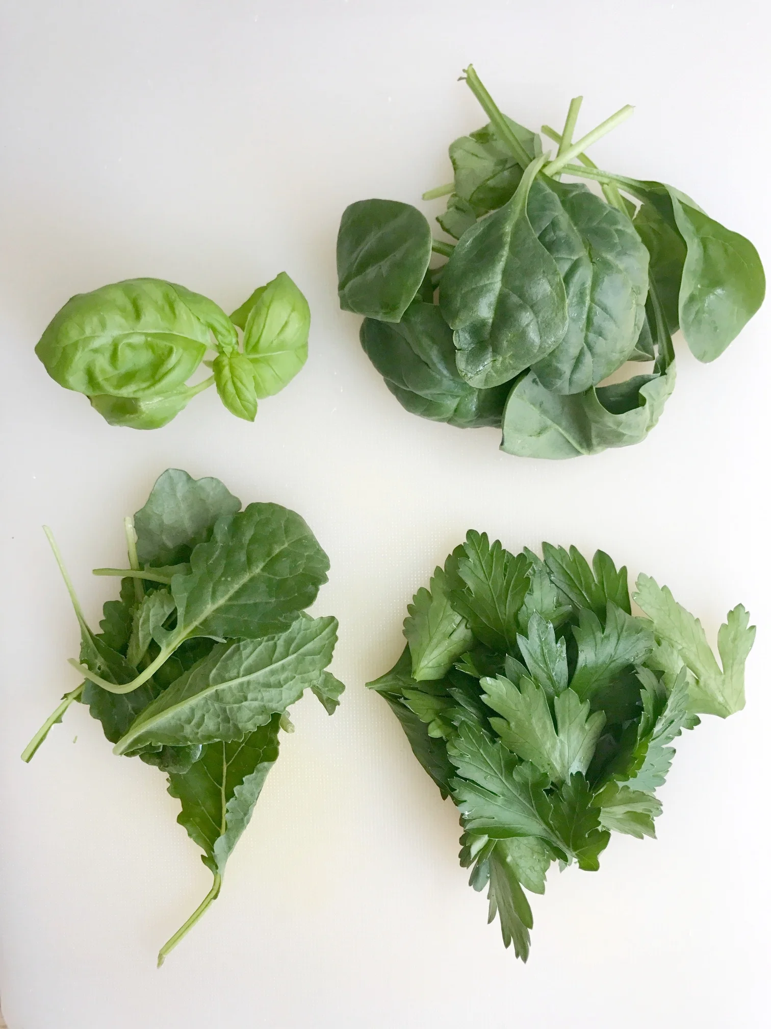 Clockwise from top left: basil, spinach, Italian flat leaf parsley, baby kale
