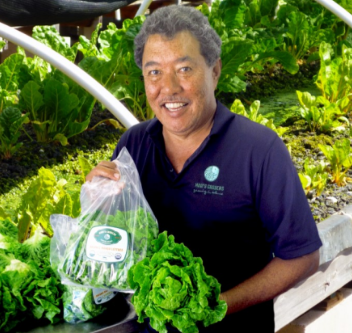 Mari's Garden - Fred Lau