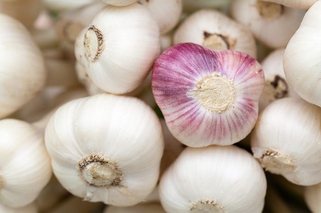 Garlic - Domestic Shortage Update