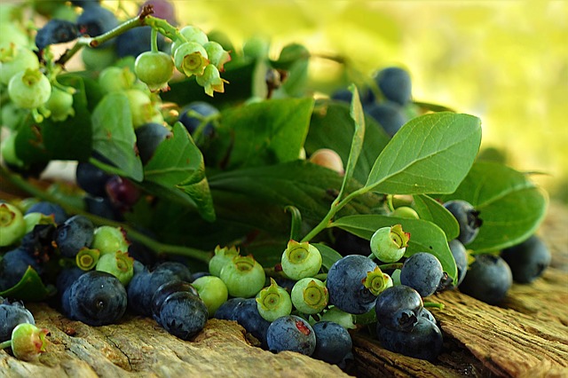 Blueberries - Inventory Update