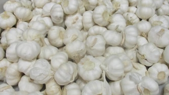 Garlic - Chinese Supply Update