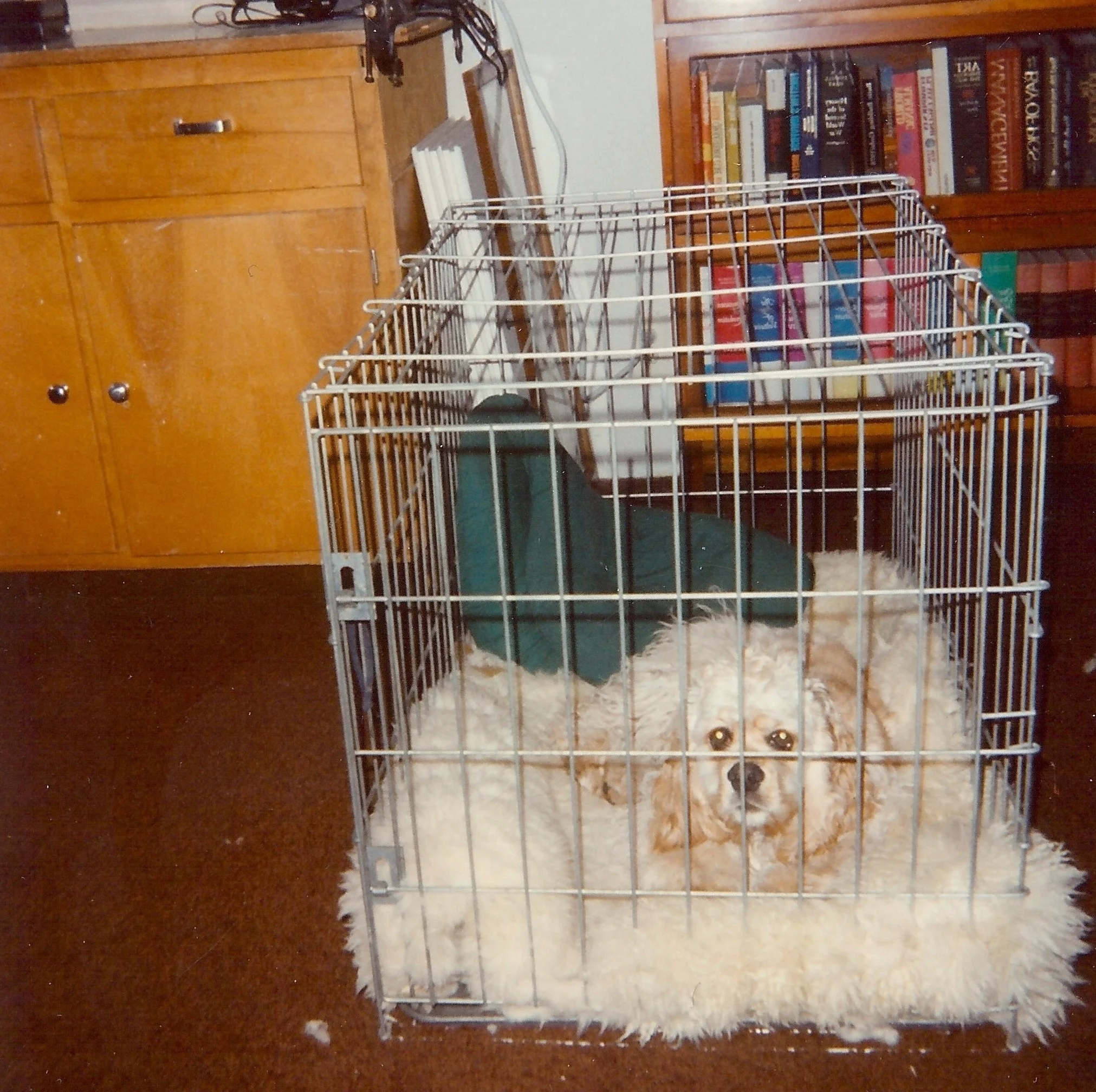 teemu backroom copy.jpeg