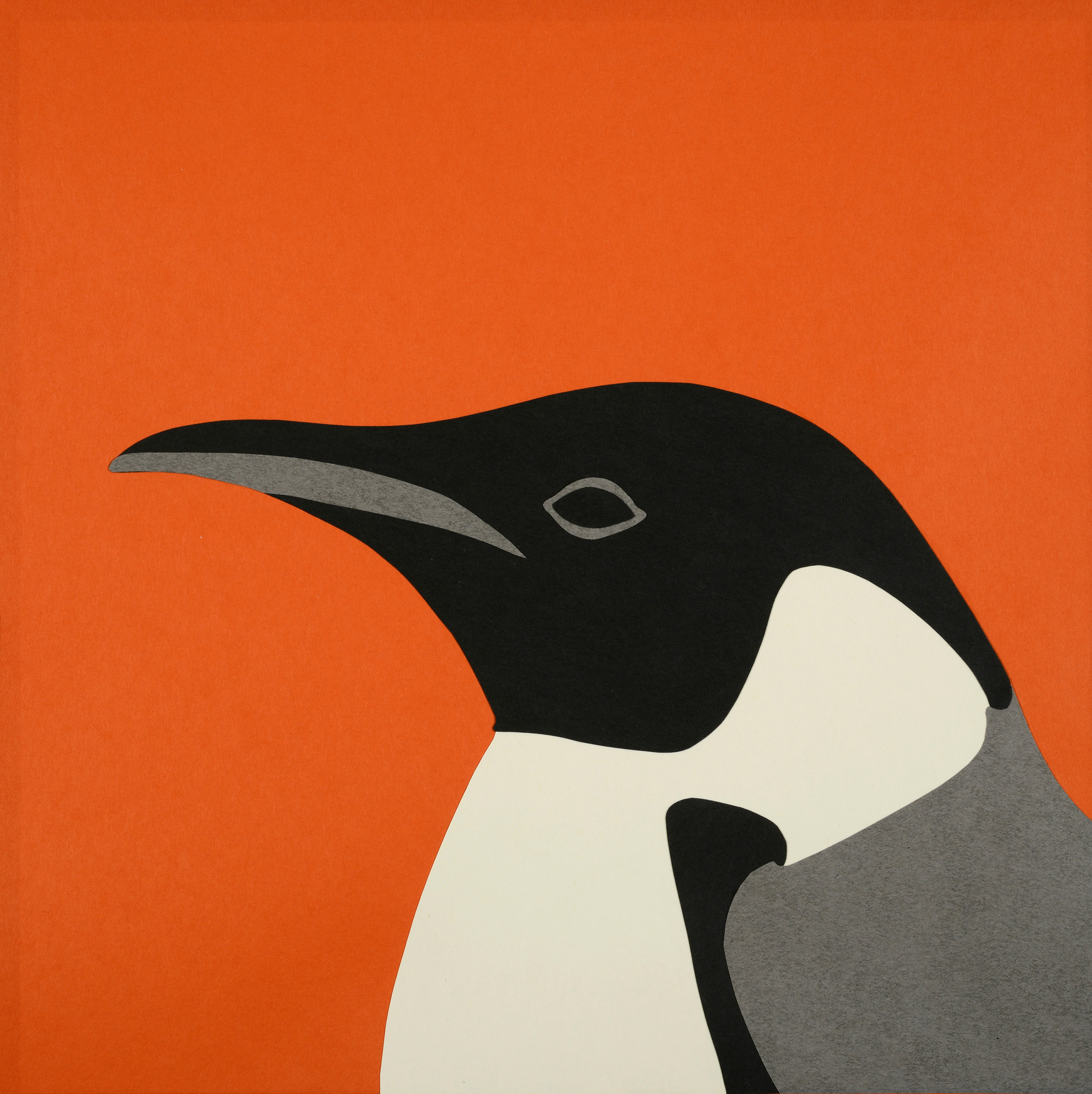 Rankin Willard - Penguin.jpg