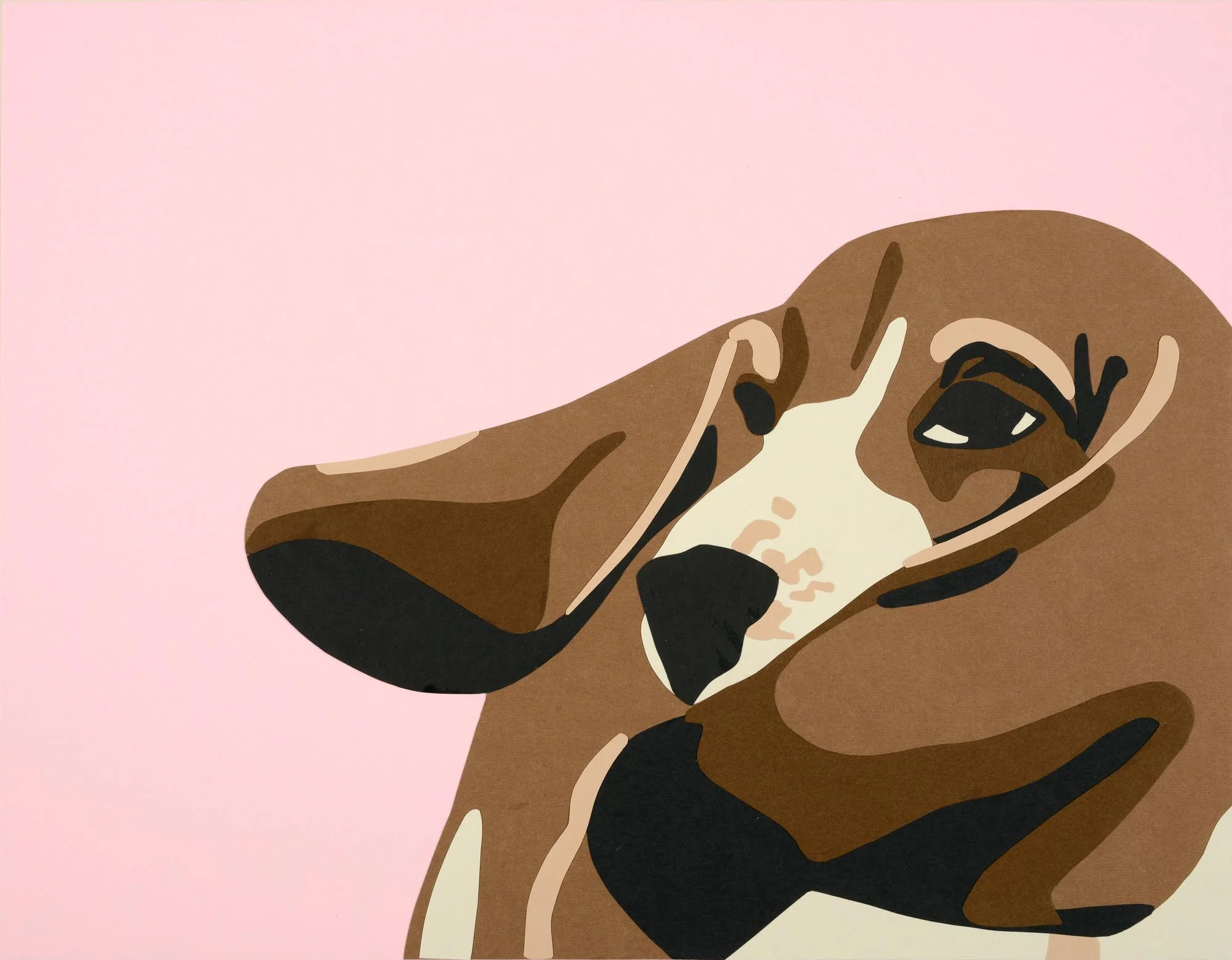 Basset Hound - Fine Art Print