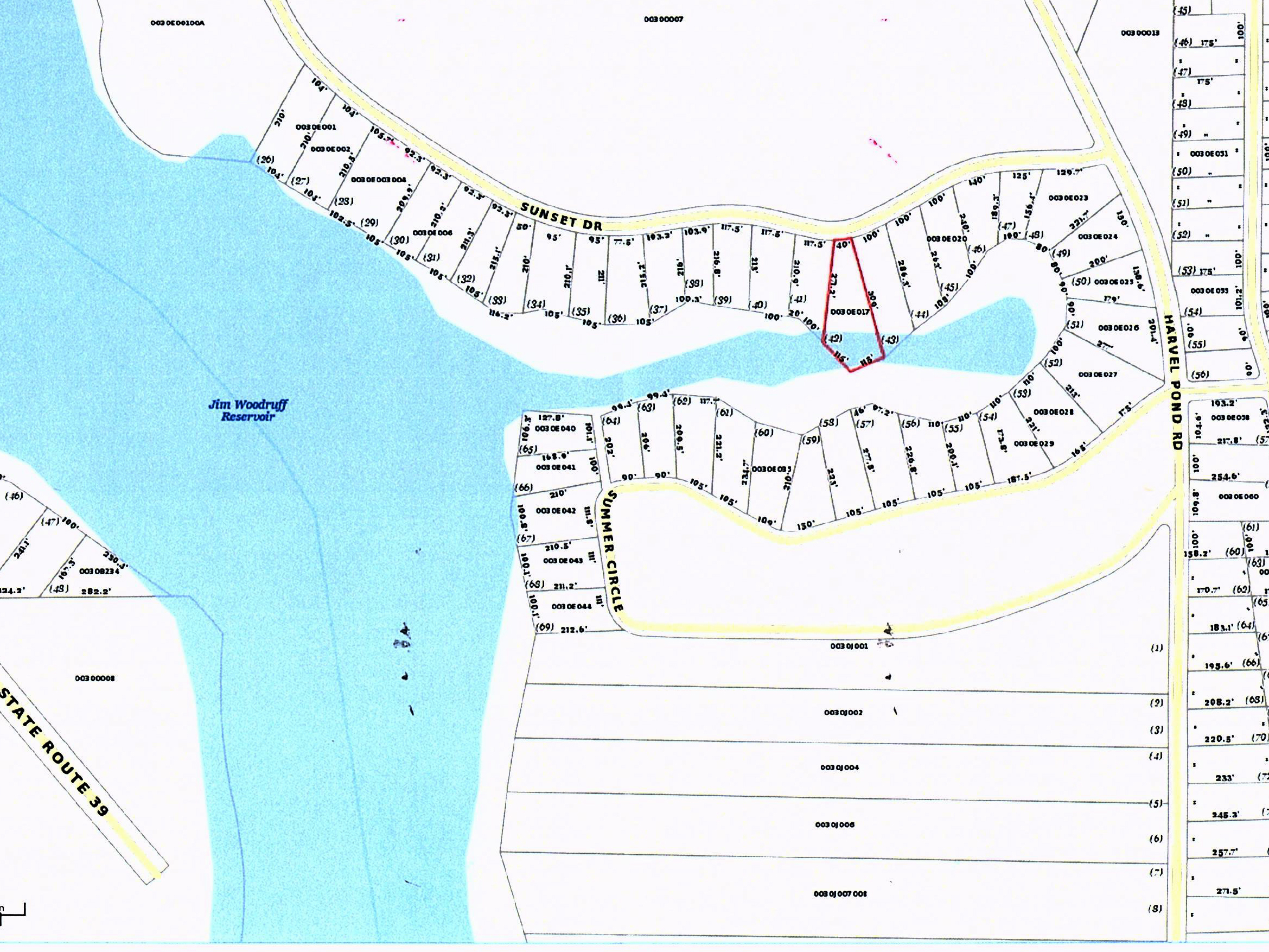 topo__3riversrealty_lake seminole_waterfront_recreation_investment.jpg