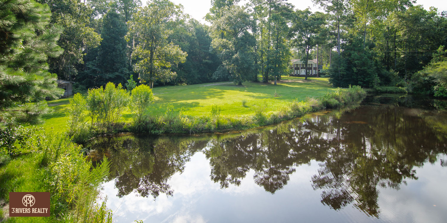 3riversrealty_south-georgia_farm_waterfront_pond_barn_land_bluegrass_country-music_old-antebellum-home_mills-brock.jpg