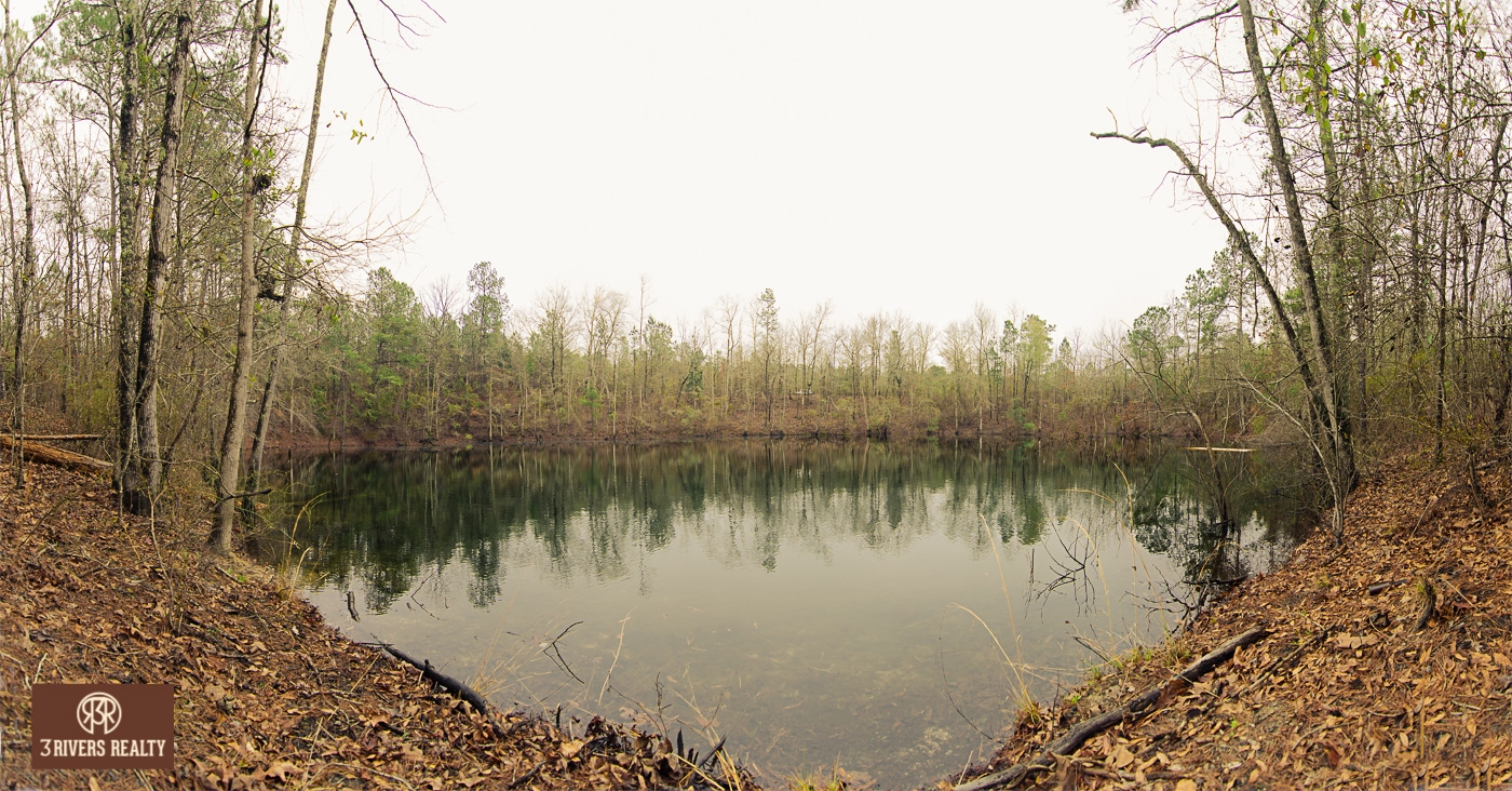 DSC_1622-Edit.jpg