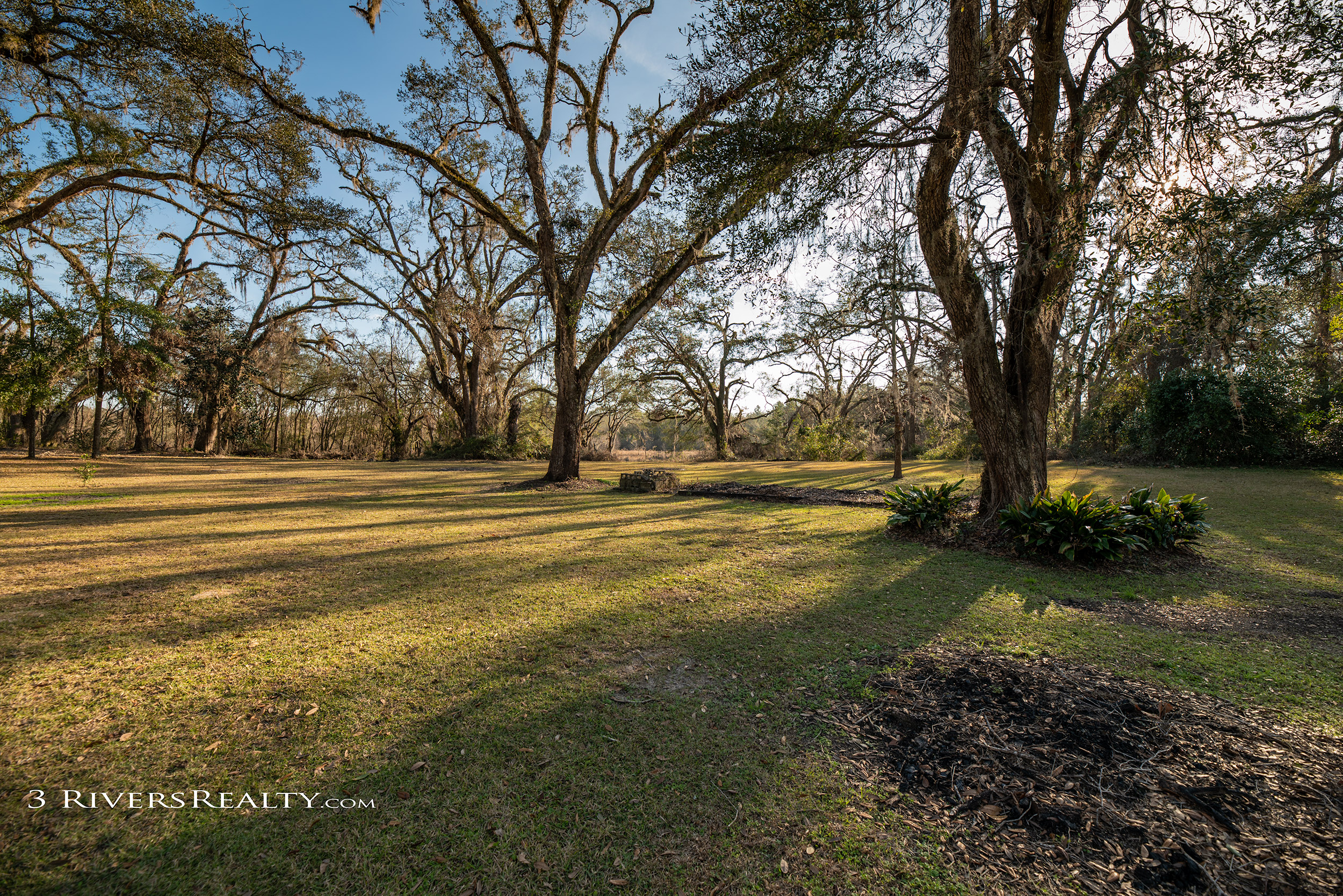 3 rivers realty,three rivers realty,bainbridge ga real estate,mills brock,taurususa,bainbridge georgia homes for sale,backyard1.jpg