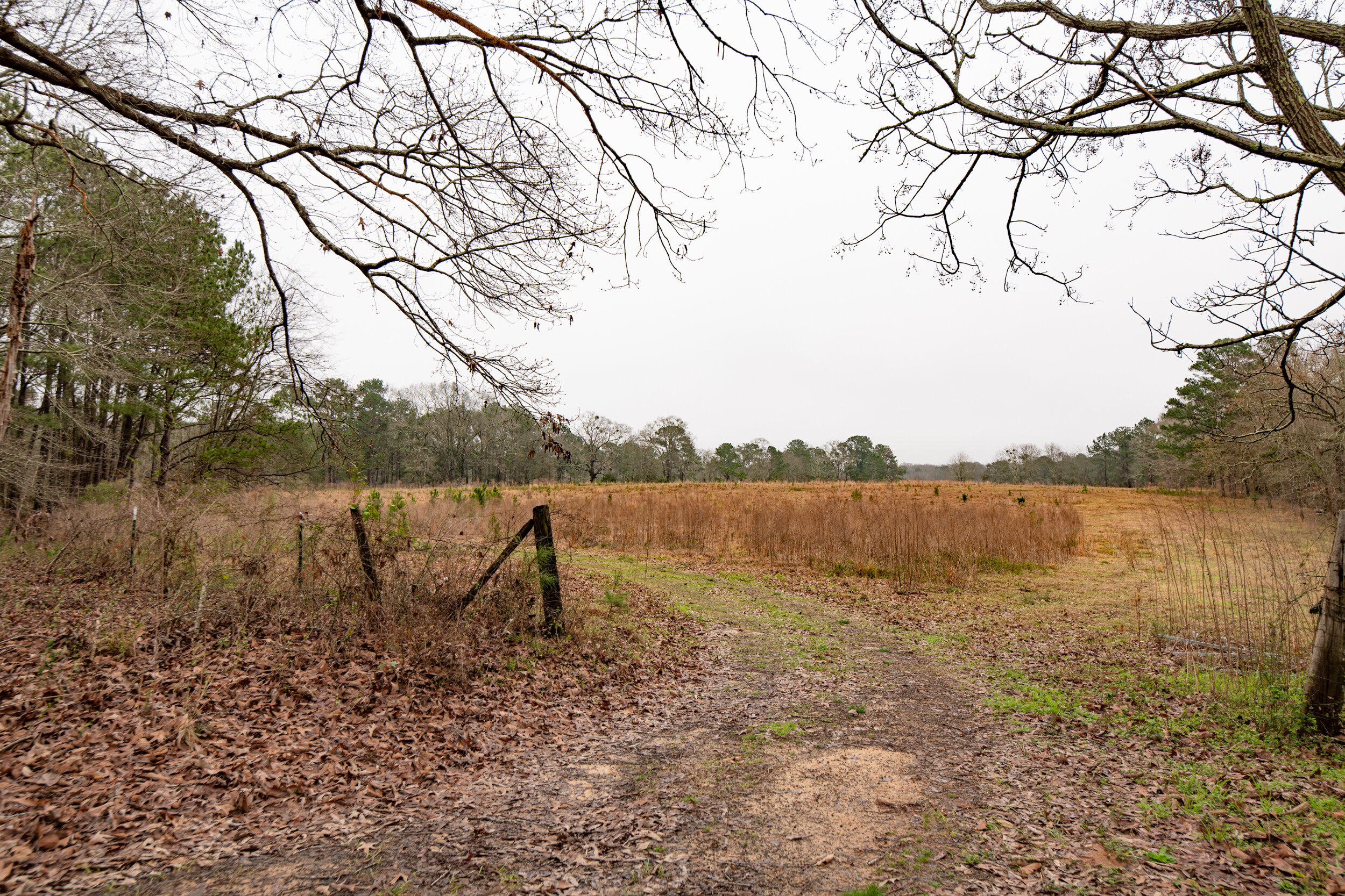 3rr, clay county, farm for sale, fort gaines, lake front, littleton, mills brock, waterfront-8.jpg