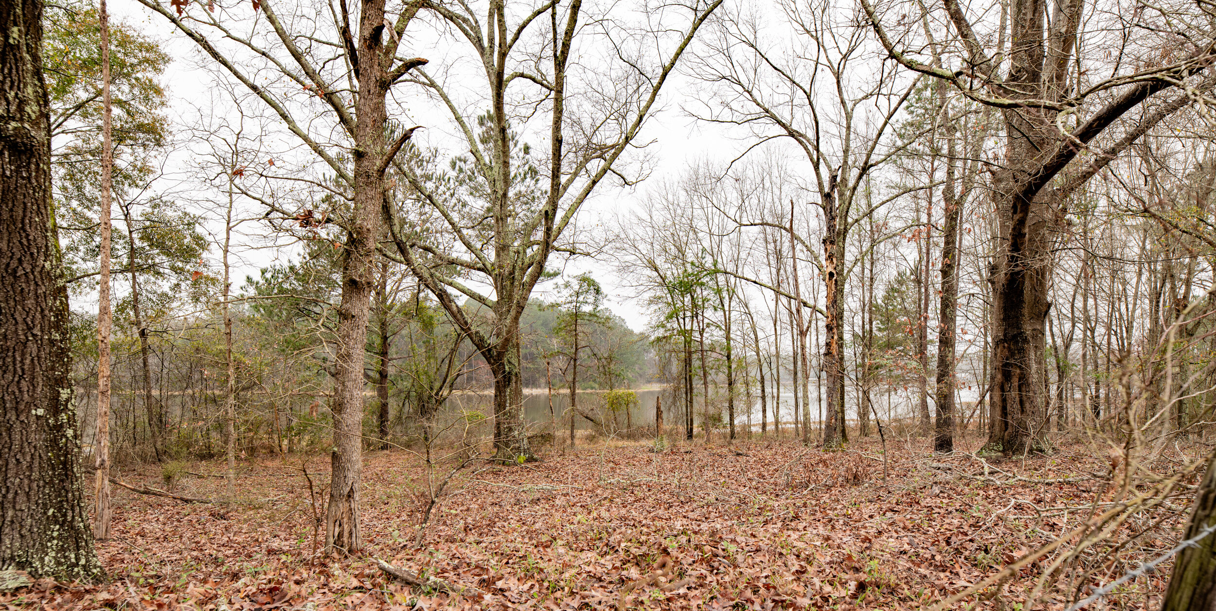 3rr, clay county, farm for sale, fort gaines, lake front, littleton, mills brock, waterfront-9.jpg
