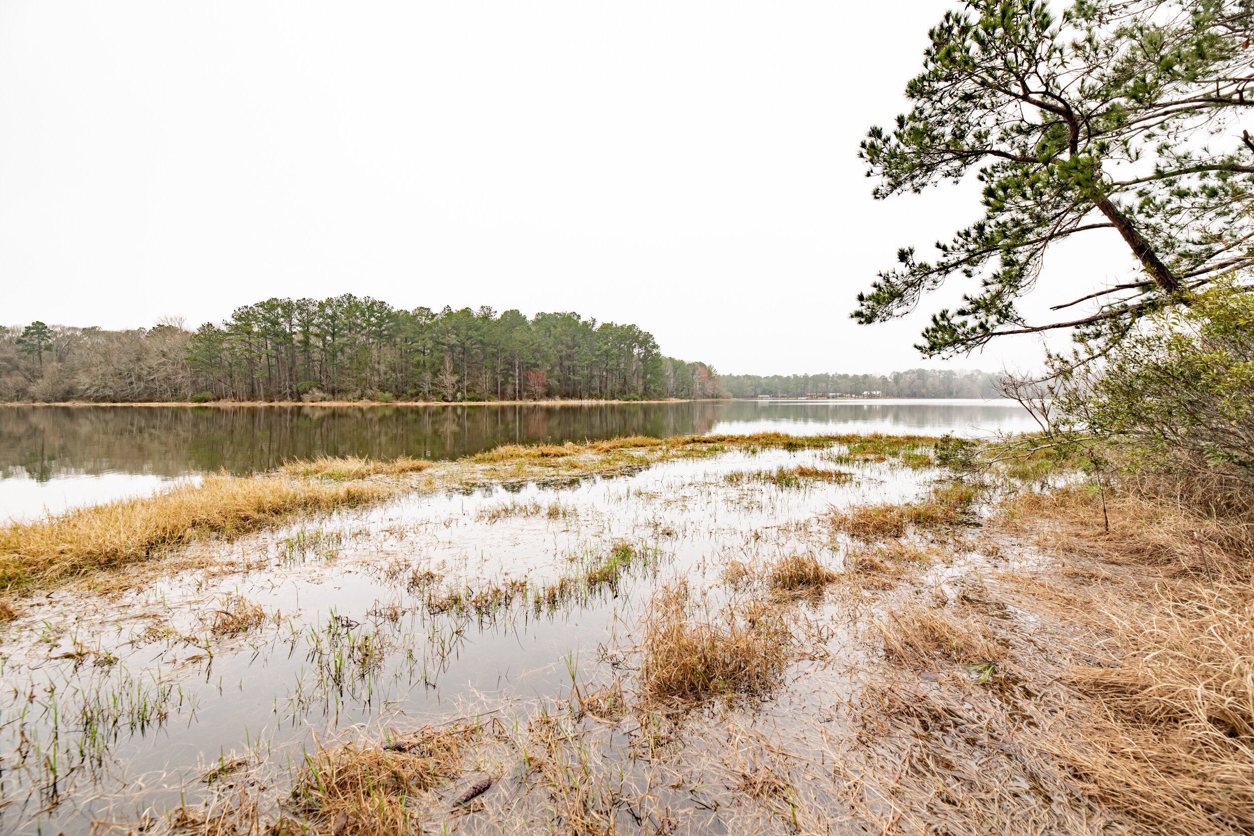 3rr, clay county, farm for sale, fort gaines, lake front, littleton, mills brock, waterfront-10.jpg