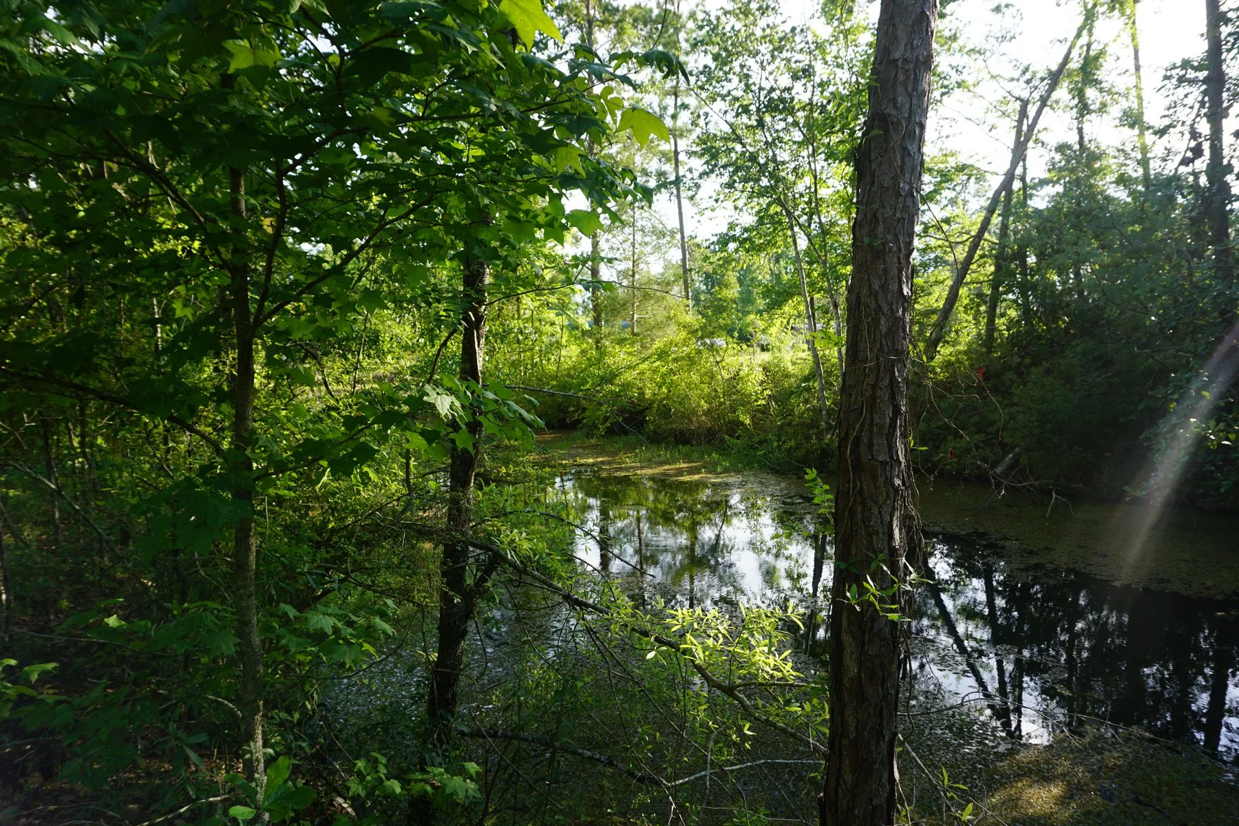 DSC05548.JPG