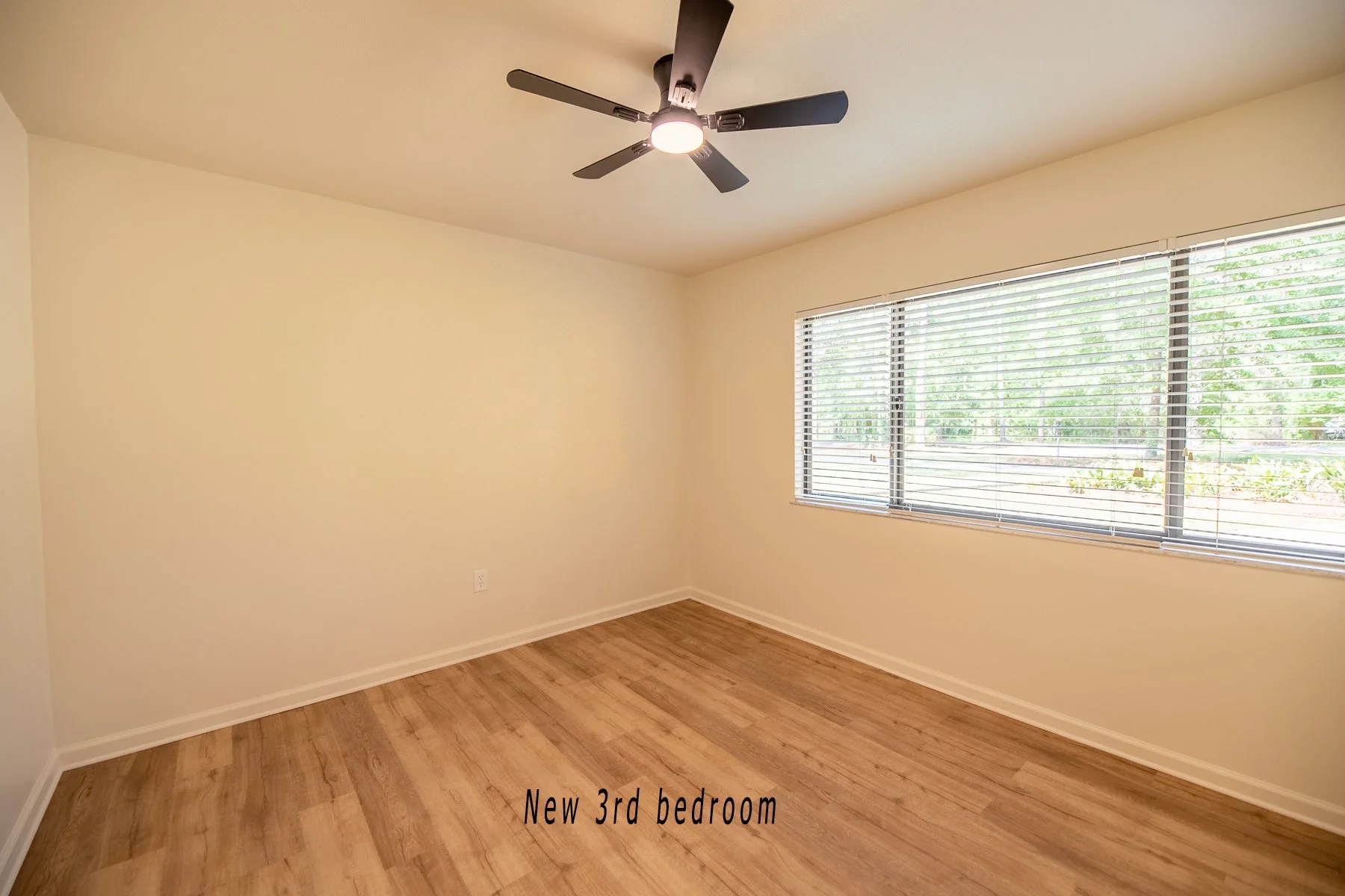 untitled shoot-045-HDR.jpg