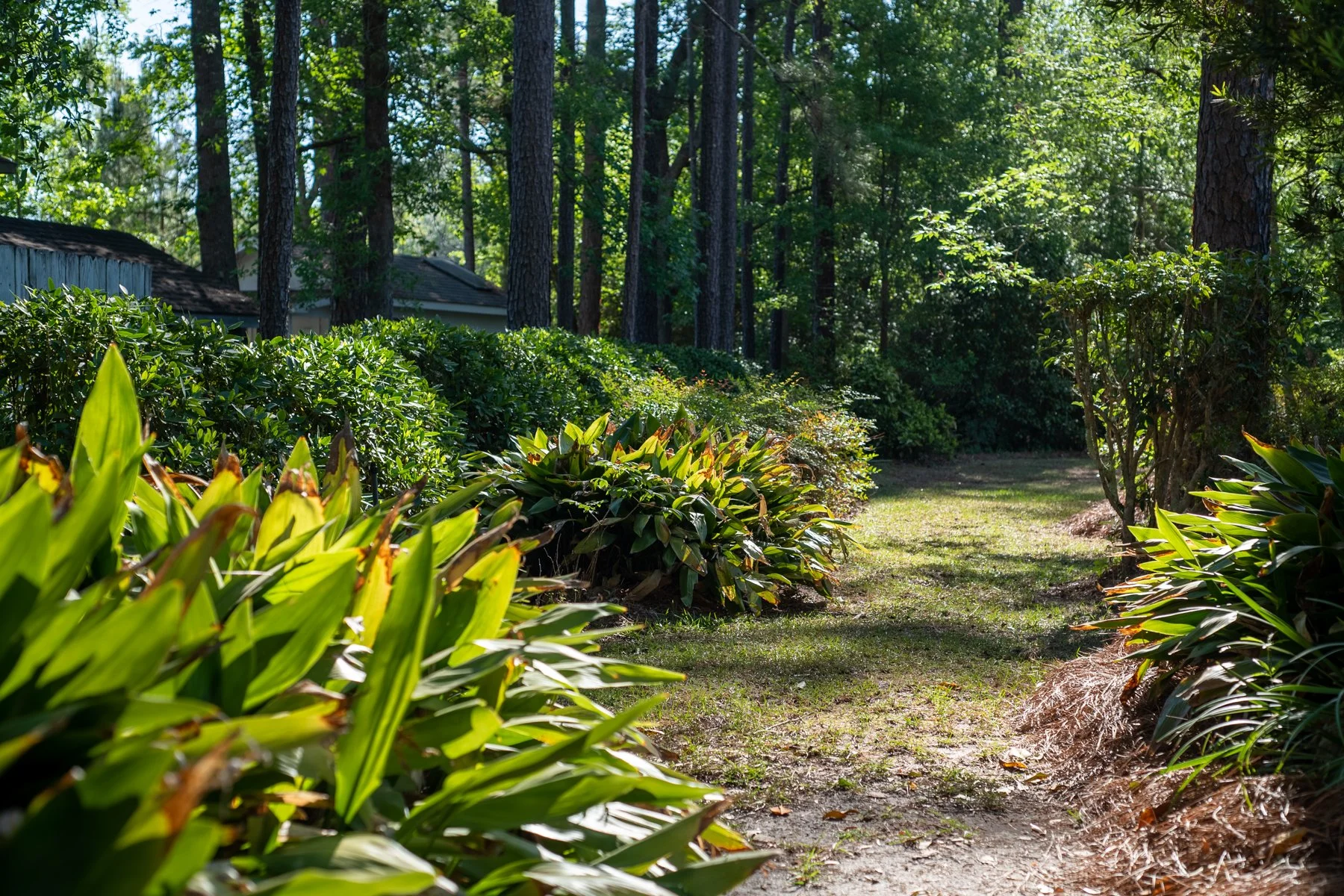 untitled shoot-135-HDR.jpg