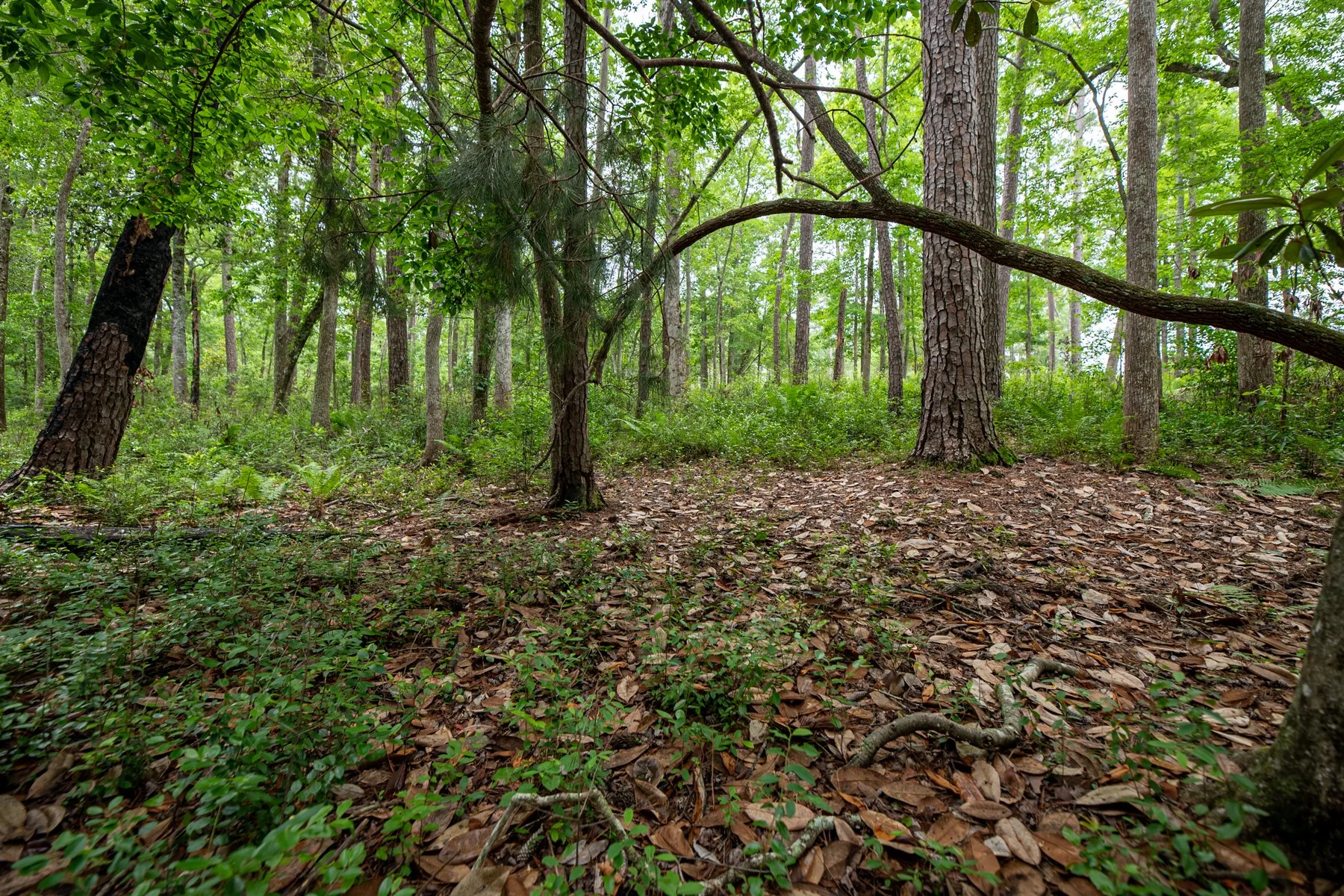 untitled shoot-018-HDR.jpg