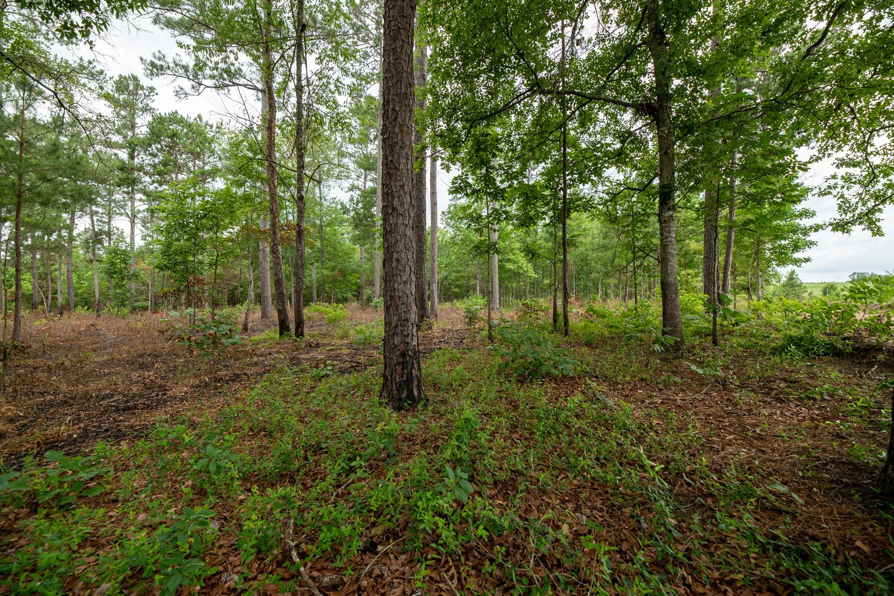 untitled shoot-022-HDR.jpg