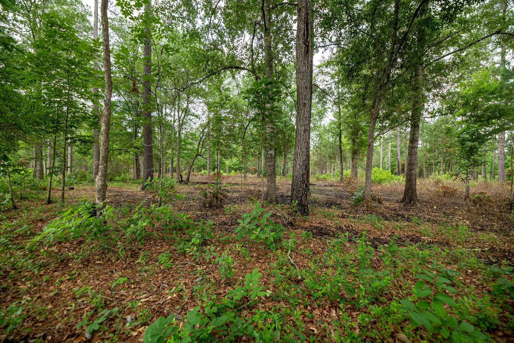 untitled shoot-026-HDR.jpg