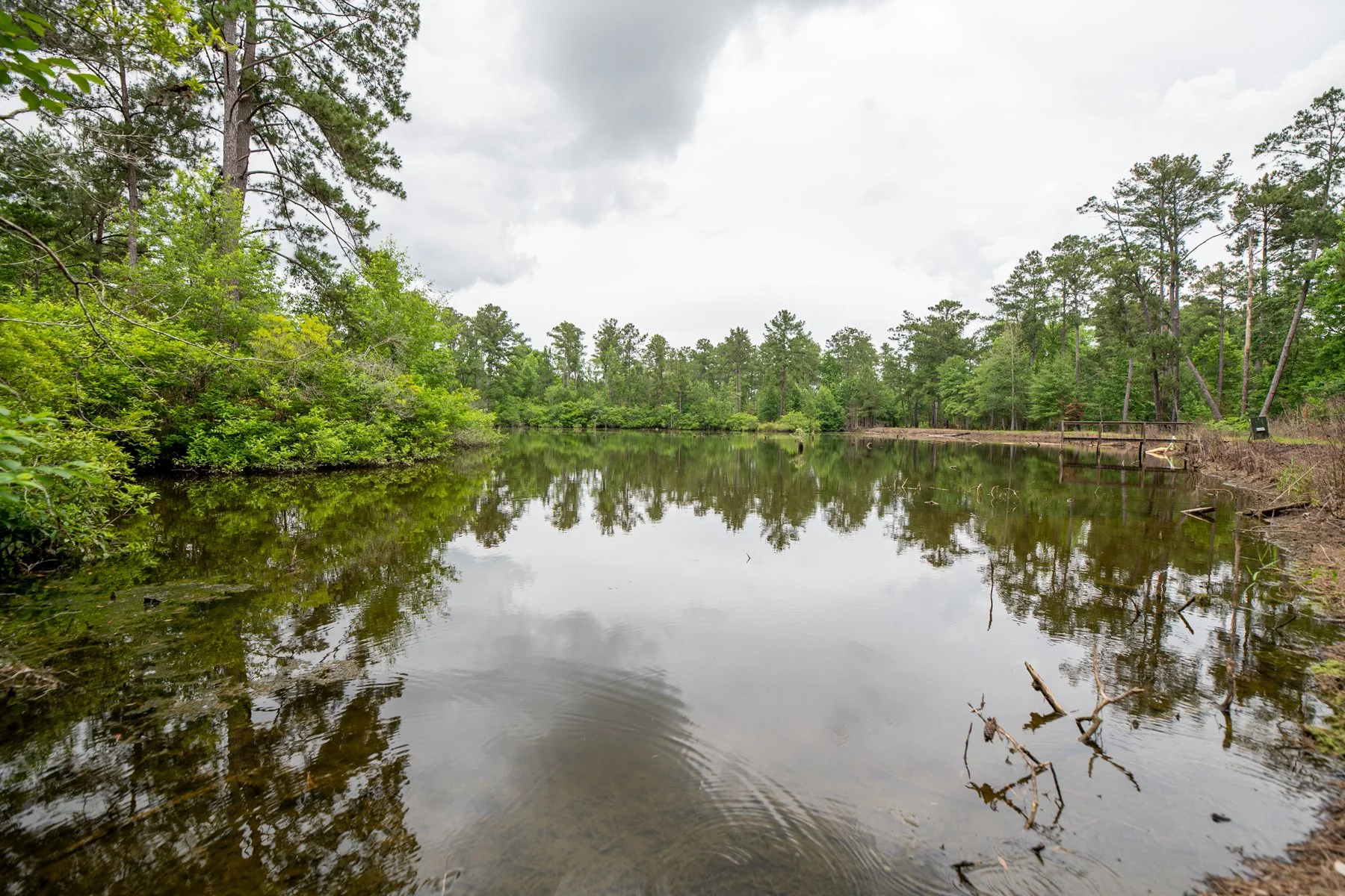 untitled shoot-032-HDR.jpg