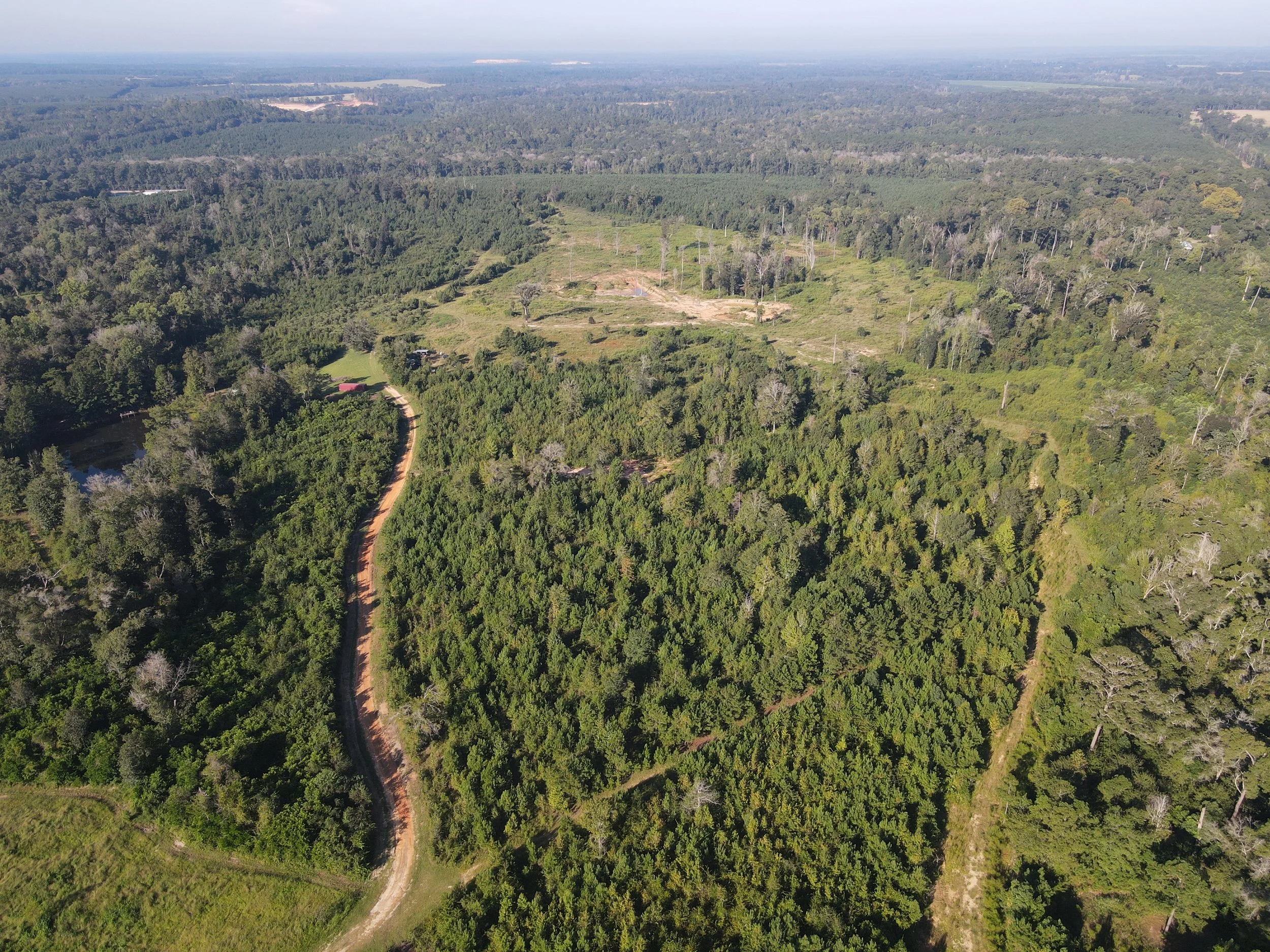 dji_fly_20260922_092932_495_1790083787278_photo.jpeg