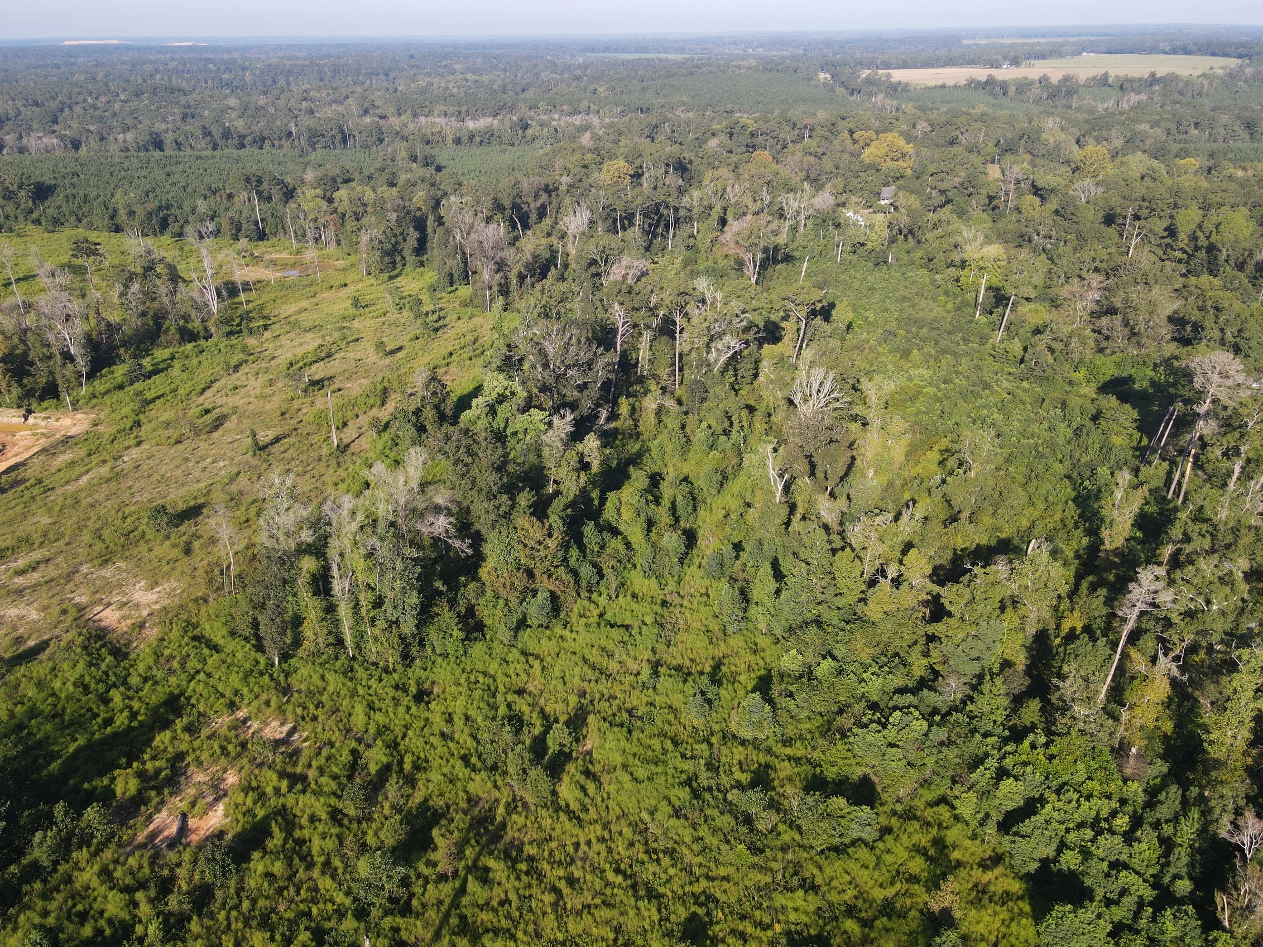 dji_fly_20260922_093026_496_1790083837298_photo.jpeg