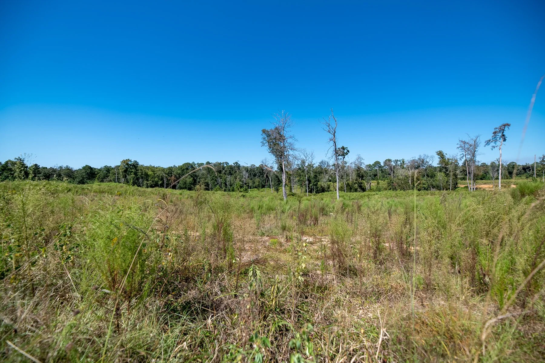 untitled shoot-014-HDR.jpg