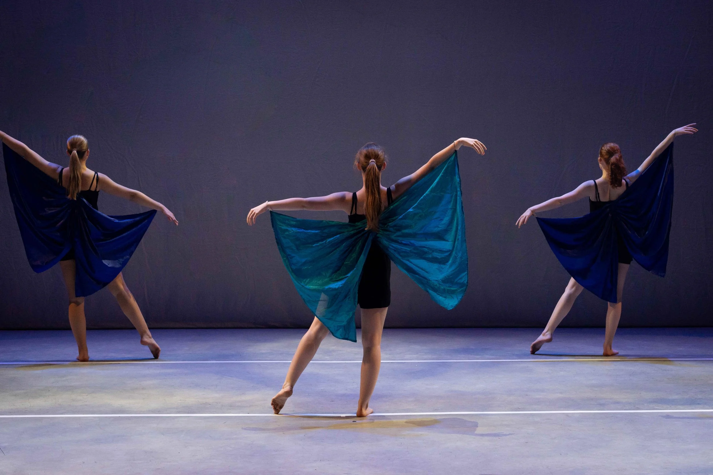 DANSEKURS VÅREN 2026